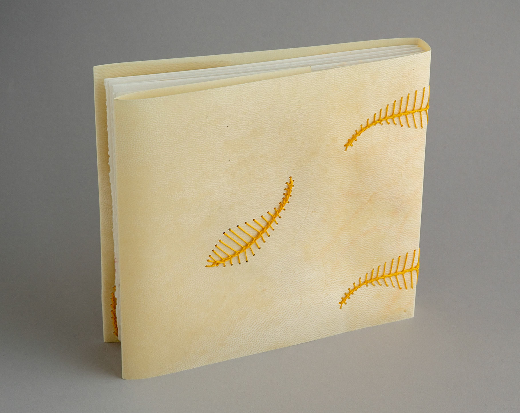 nesting - Copy 6, back cover