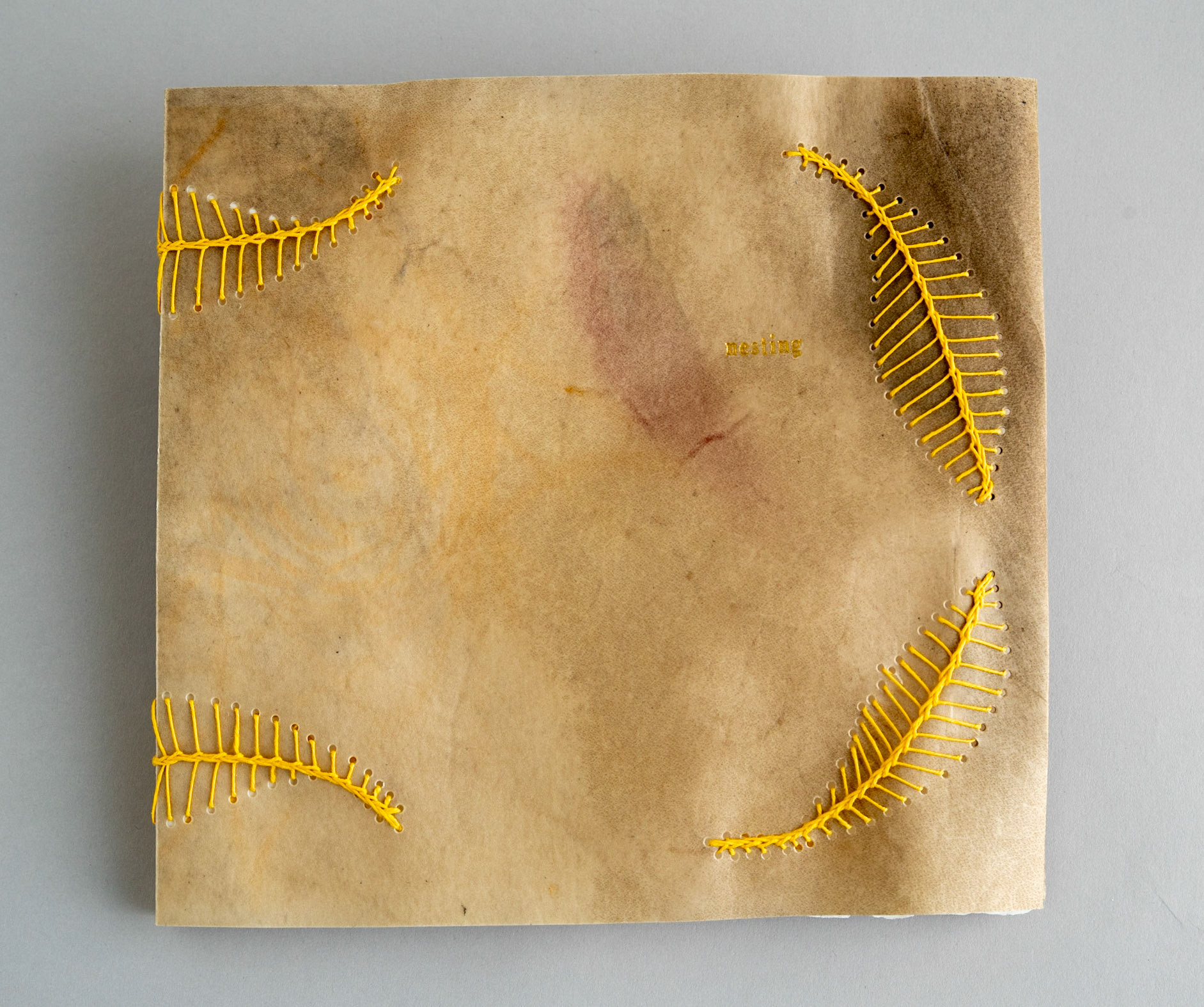nesting - Copy 5, front cover detail