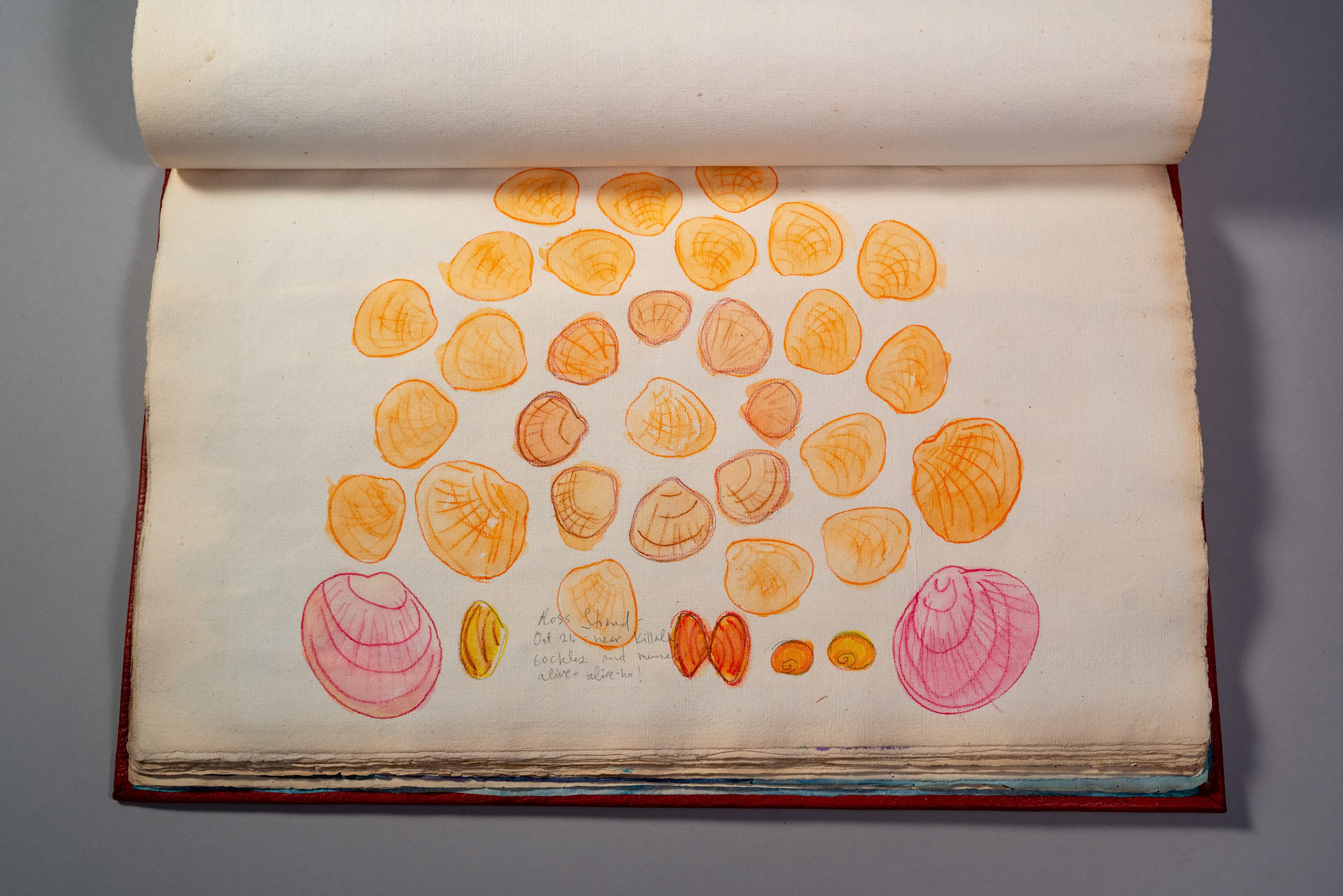 Balinglen 2023 Sketch BookPainting and drawing on antique laid paper, bound in leather with gold tooling, 12" x 16" x 1"