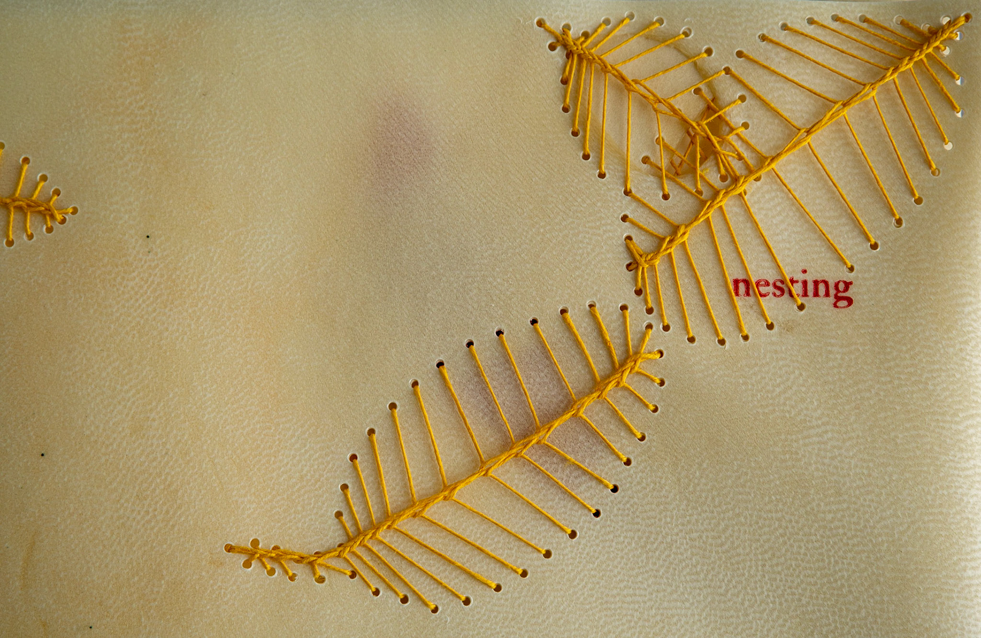 nesting - Copy 3, front cover detail