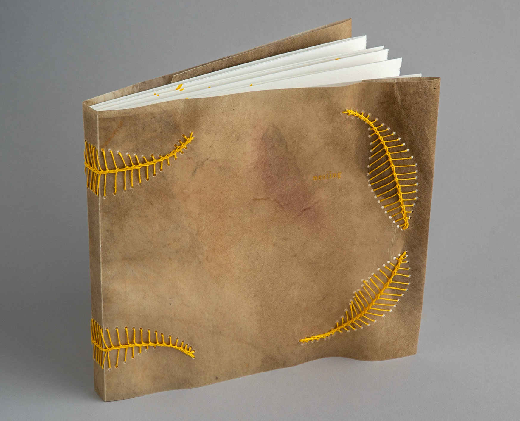 nesting - Copy 5, front cover