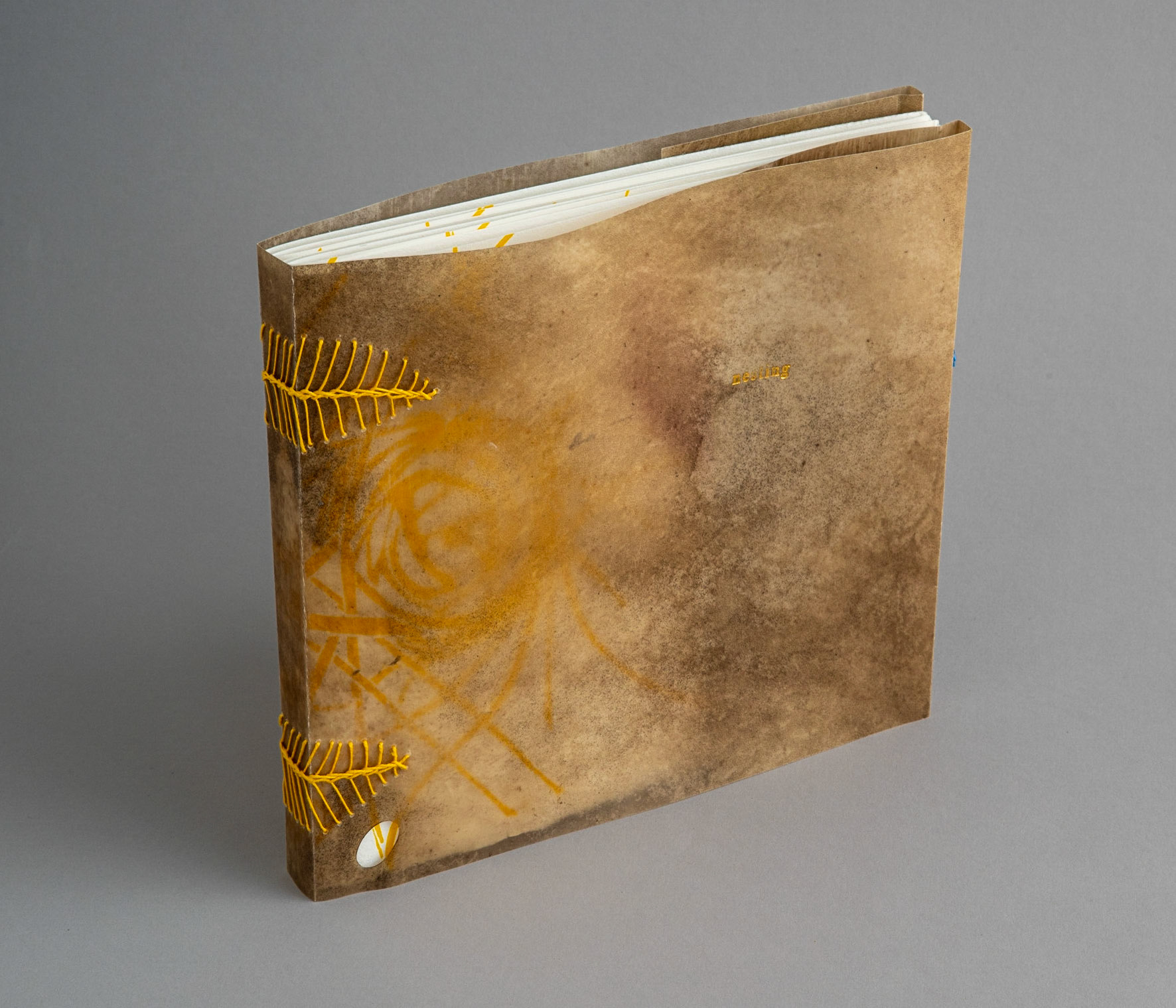 nesting - Copy 2, front cover