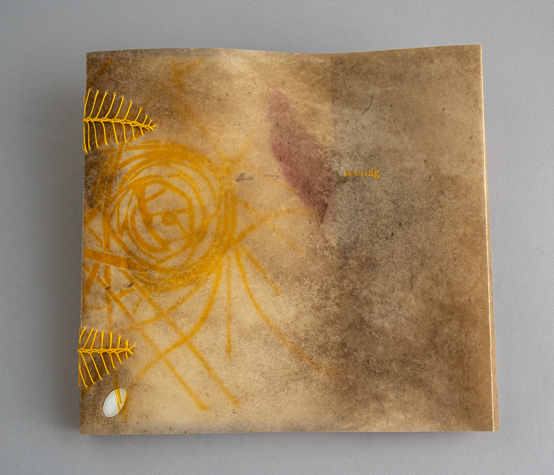nesting - Copy 2, front cover