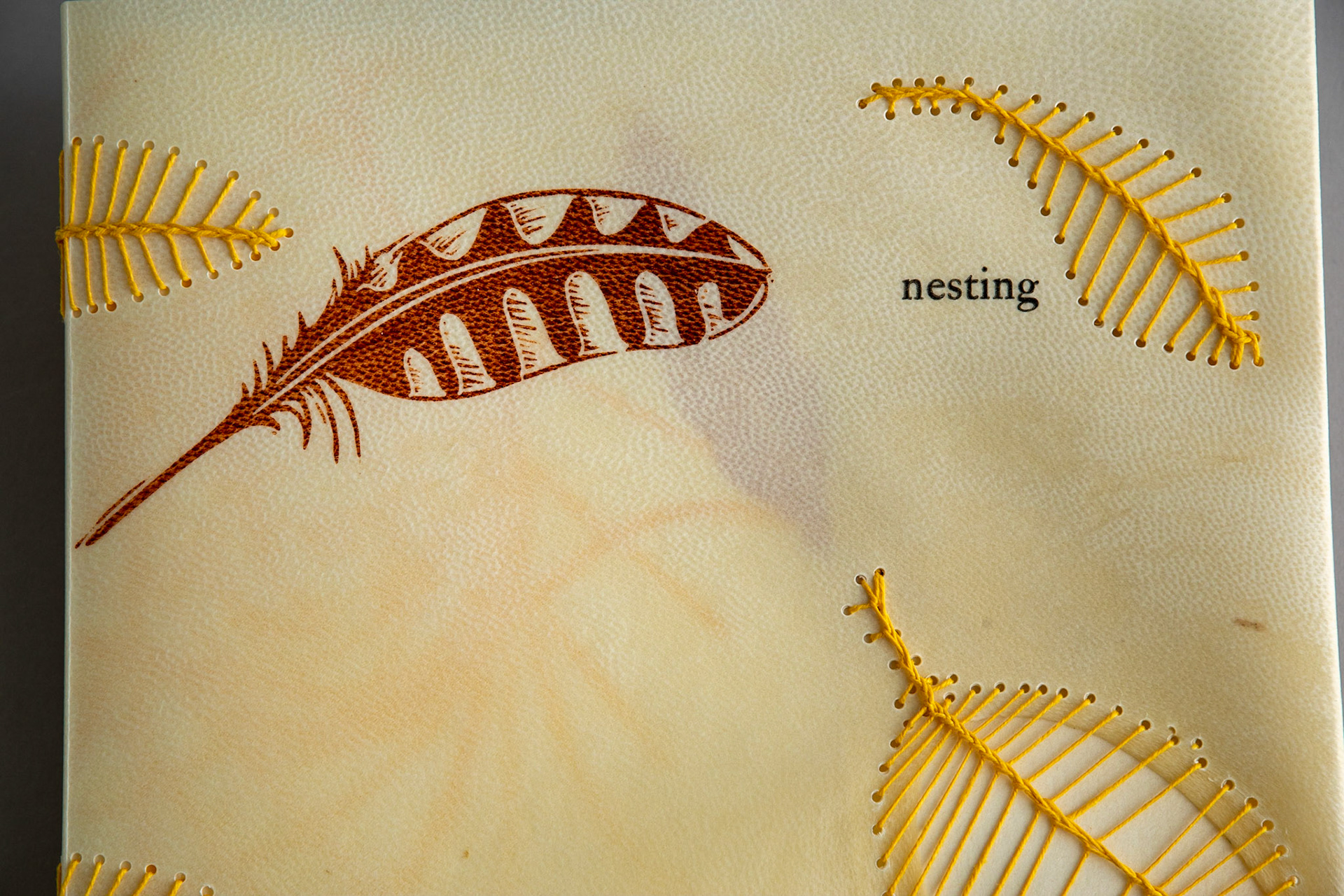 nesting - Copy 6, front cover detail