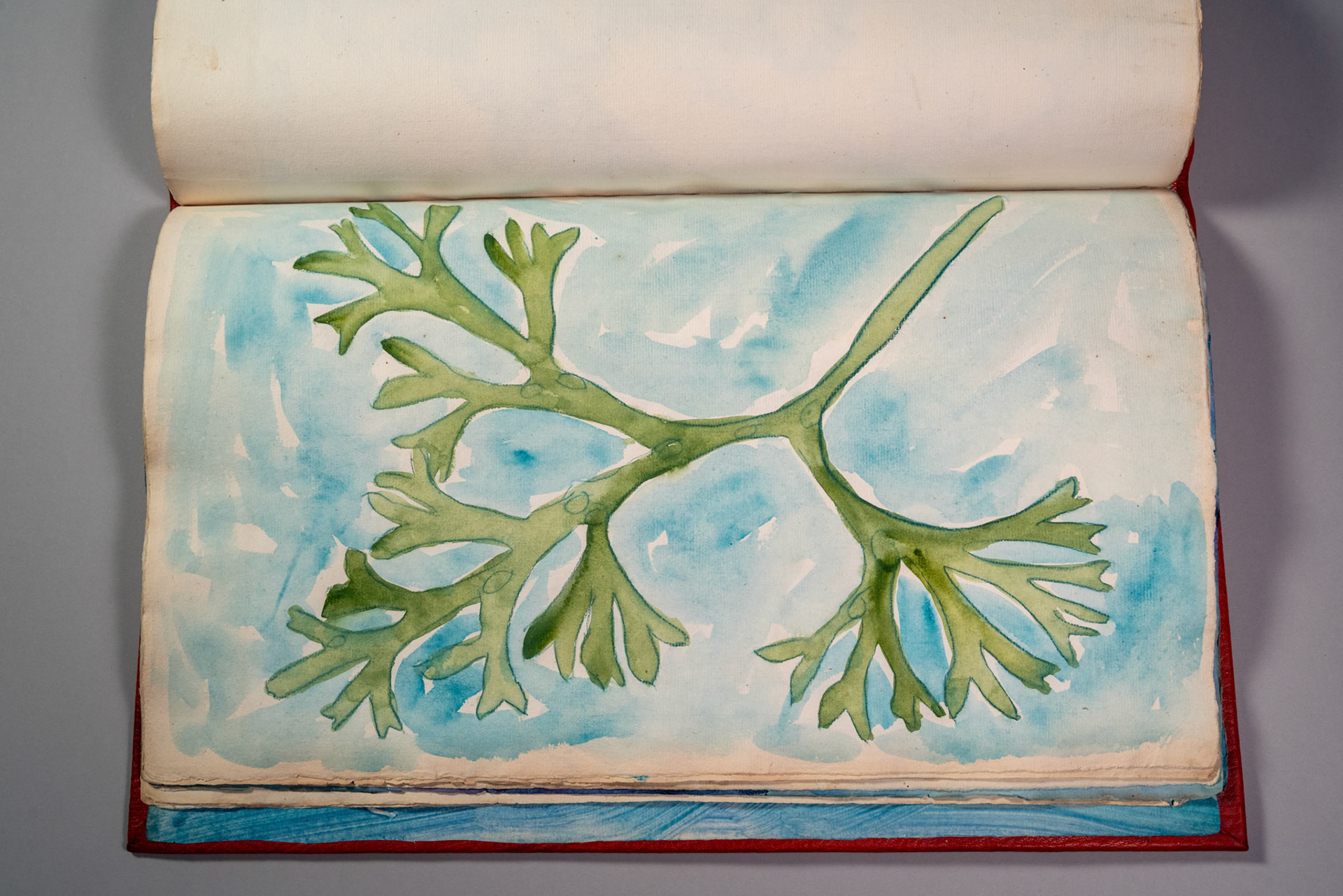 Balinglen 2023 Sketch BookPainting and drawing on antique laid paper, bound in leather with gold tooling, 12" x 16" x 1"