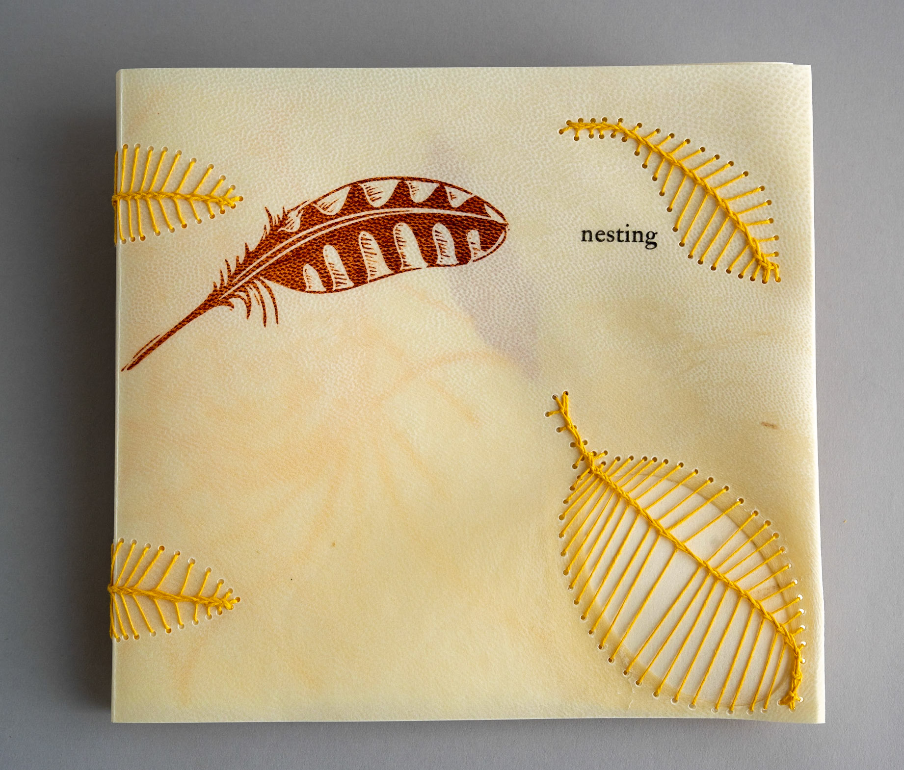 nesting - Copy 6, front cover