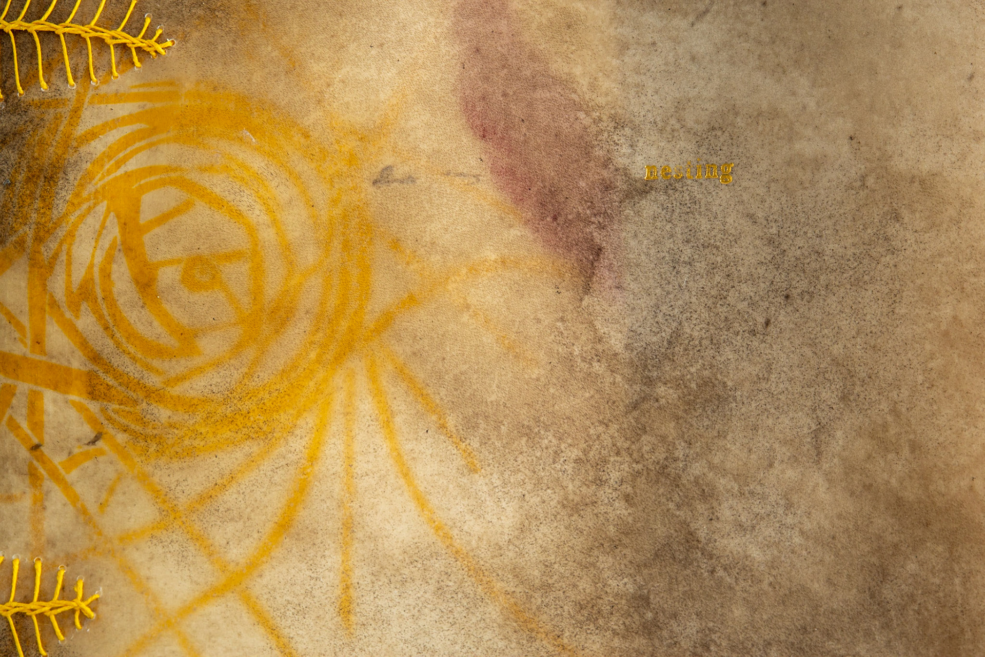 nesting - Copy 2, front cover detail