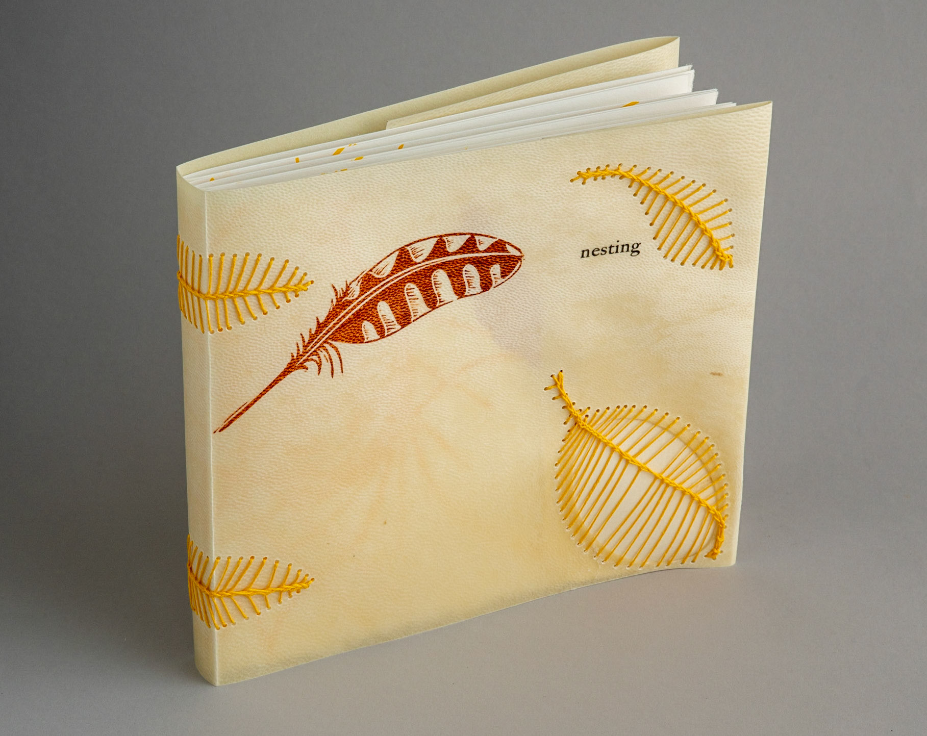nesting - Copy 6, front cover