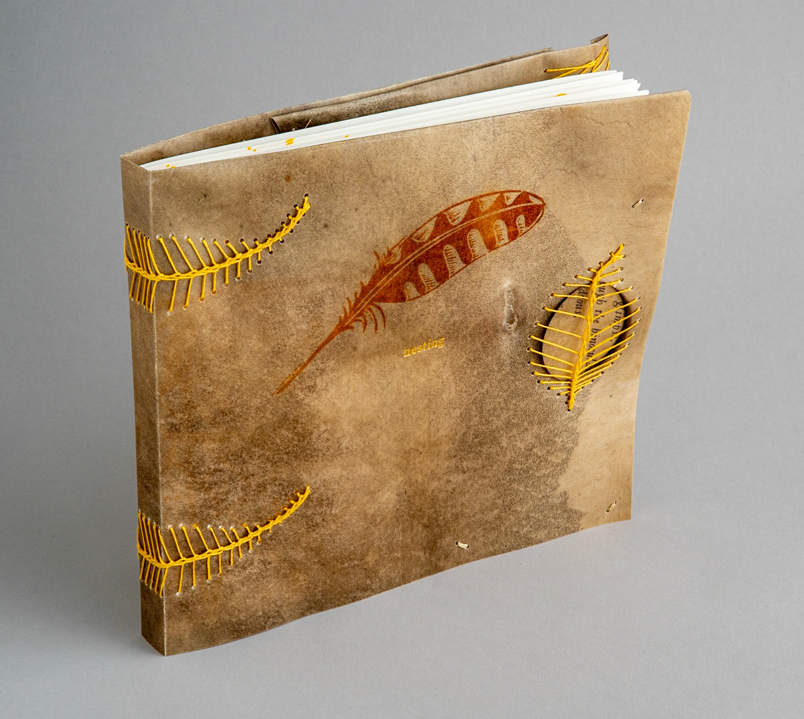 nesting - Copy 1, front cover