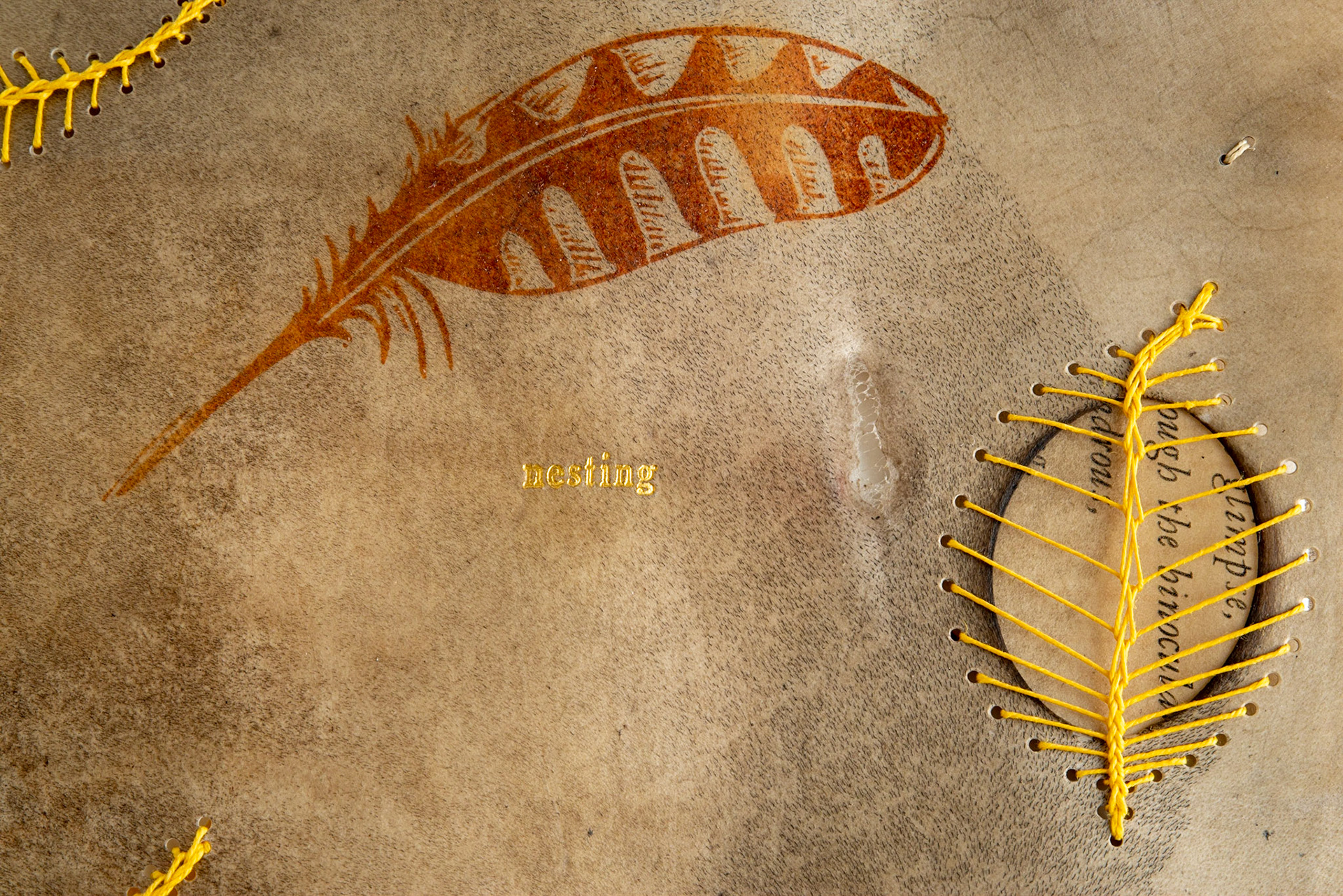 nesting - Copy 1, front cover detail