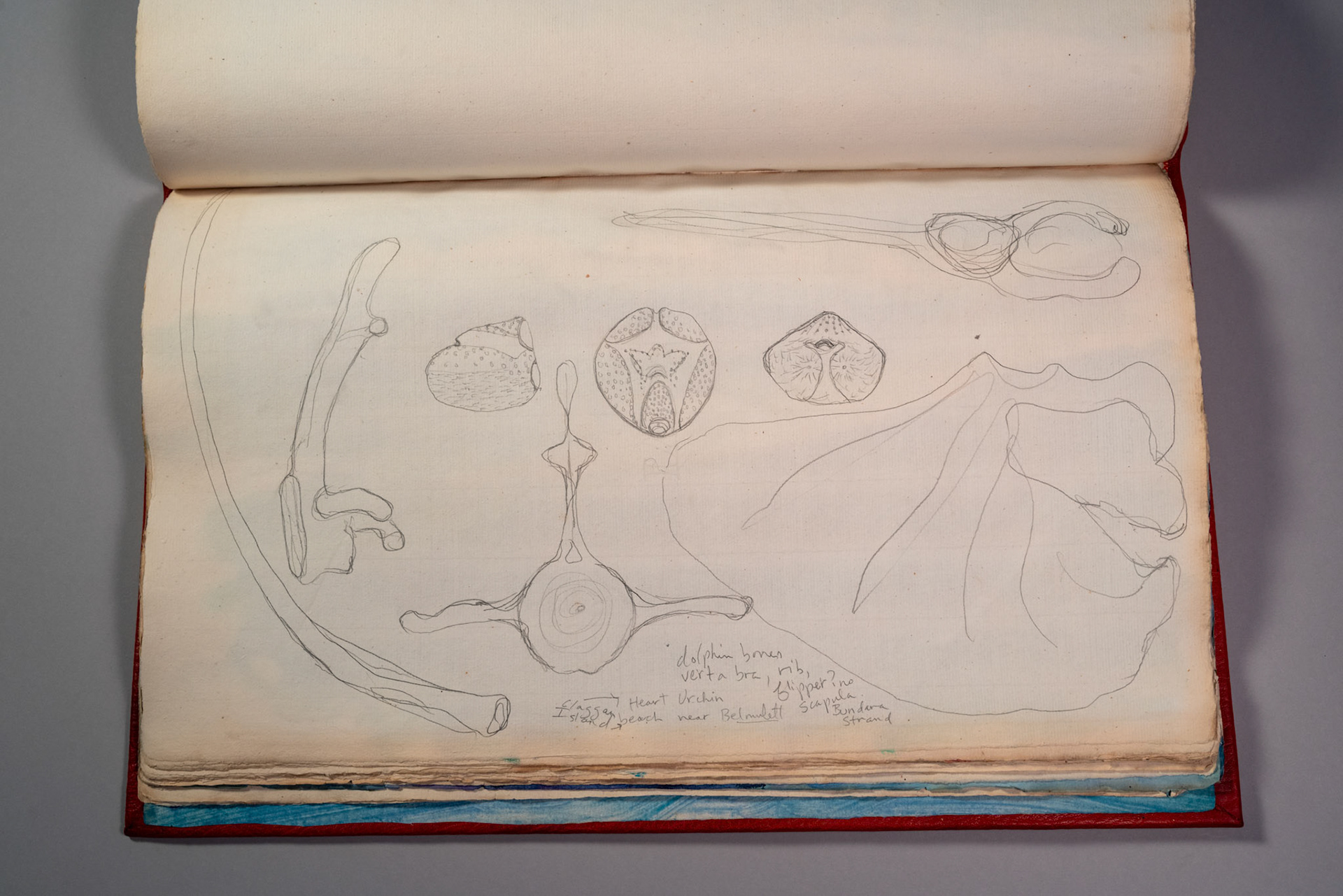 Balinglen 2023 Sketch BookPainting and drawing on antique laid paper, bound in leather with gold tooling, 12" x 16" x 1"
