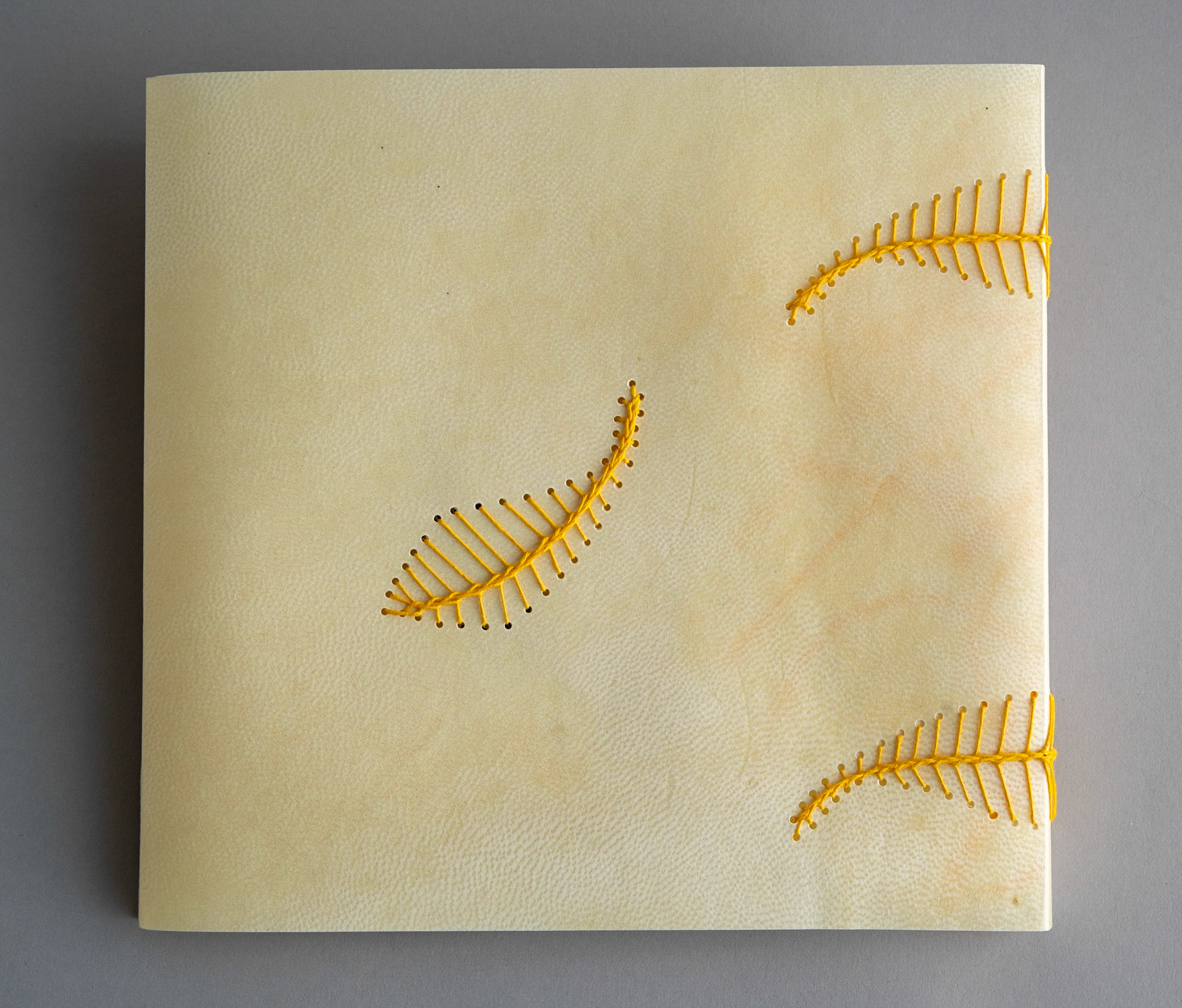 nesting - Copy 6, back cover