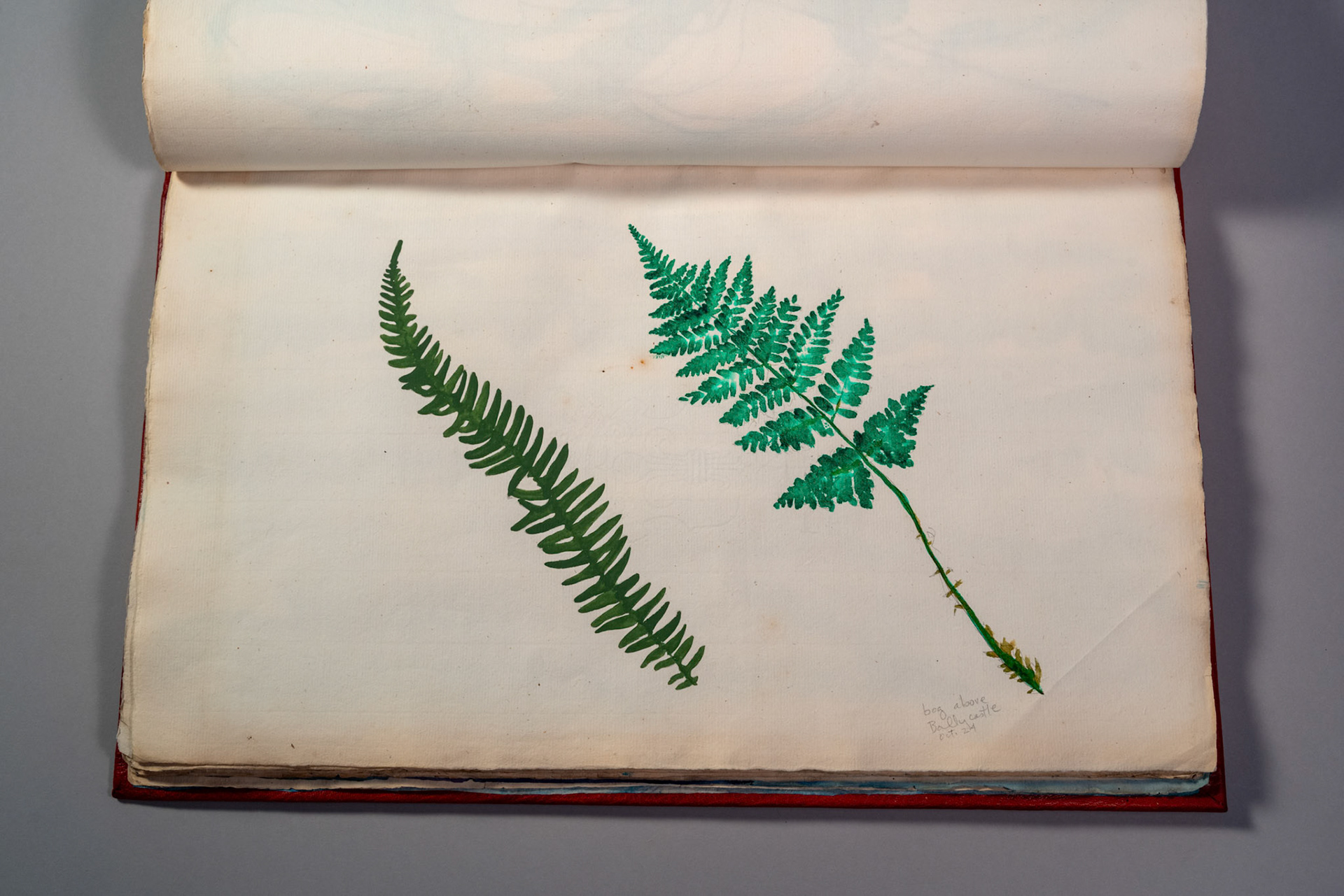 Balinglen 2023 Sketch BookPainting and drawing on antique laid paper, bound in leather with gold tooling, 12" x 16" x 1"
