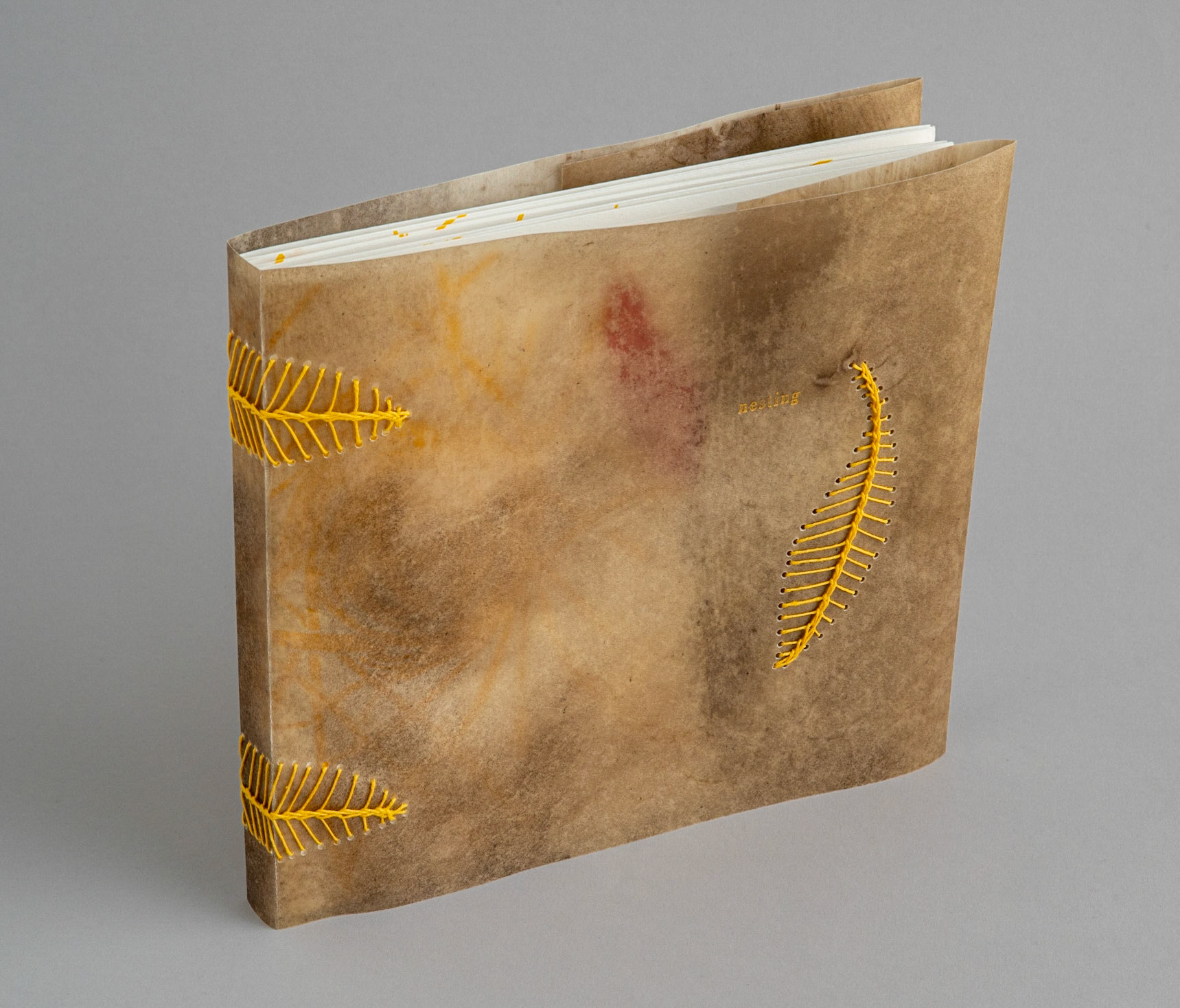 nesting - Copy 4, front cover