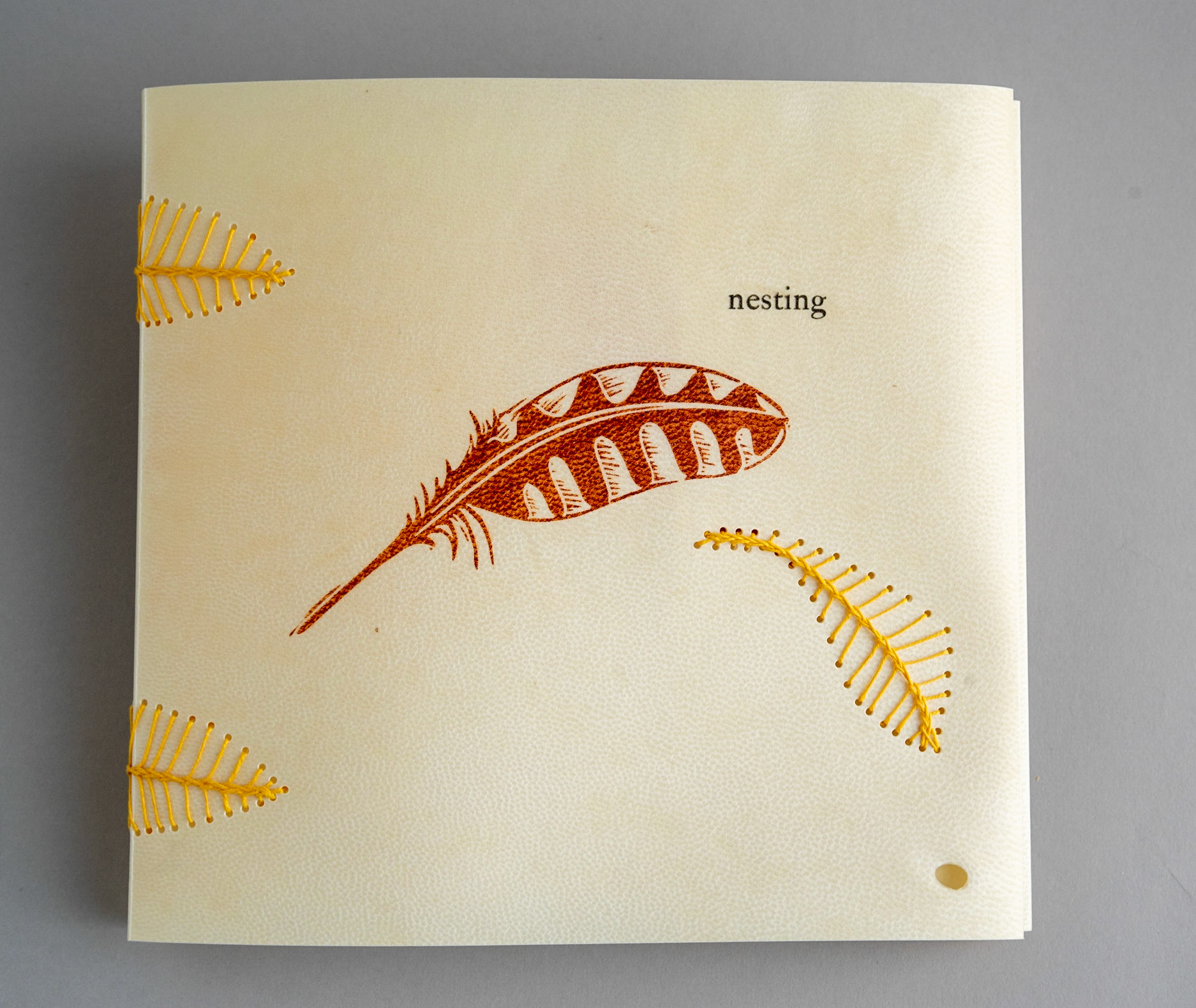 nesting - Copy 7, front cover