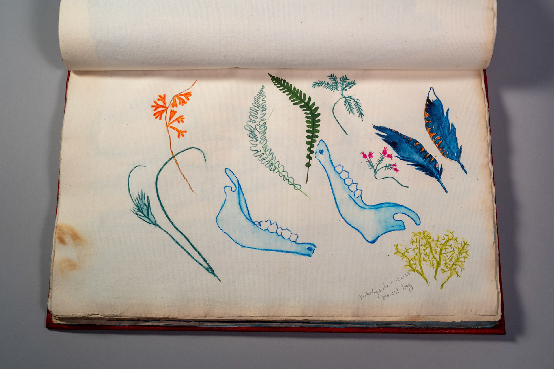 Balinglen 2023 Sketch BookPainting and drawing on antique laid paper, bound in leather with gold tooling, 12" x 16" x 1"