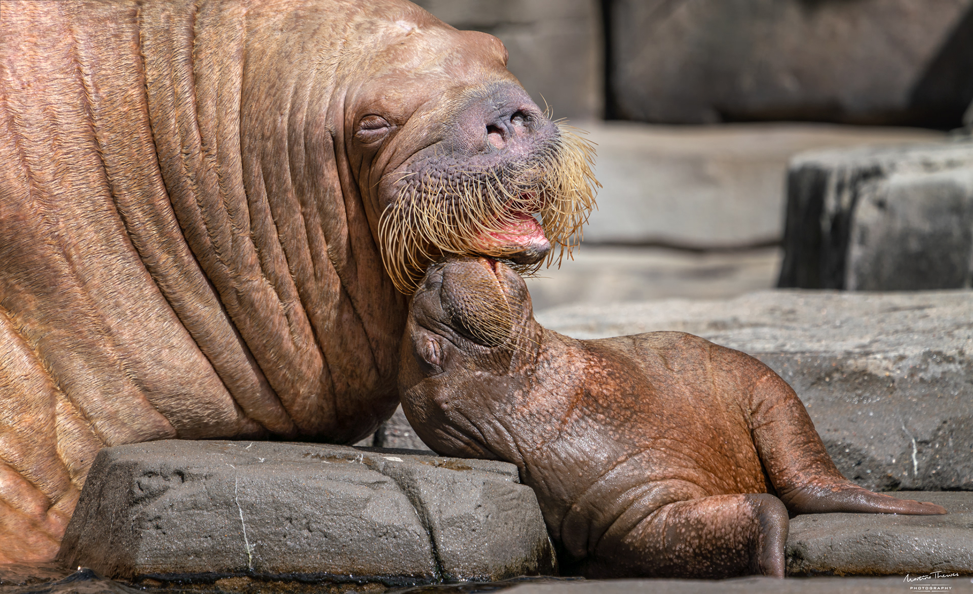 Schmusen mit Mama