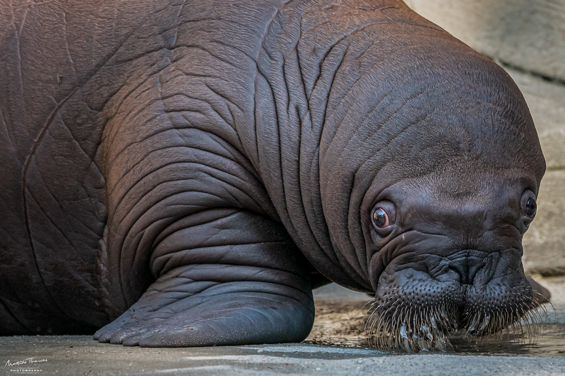 Ich bin der Neue im Tierpark