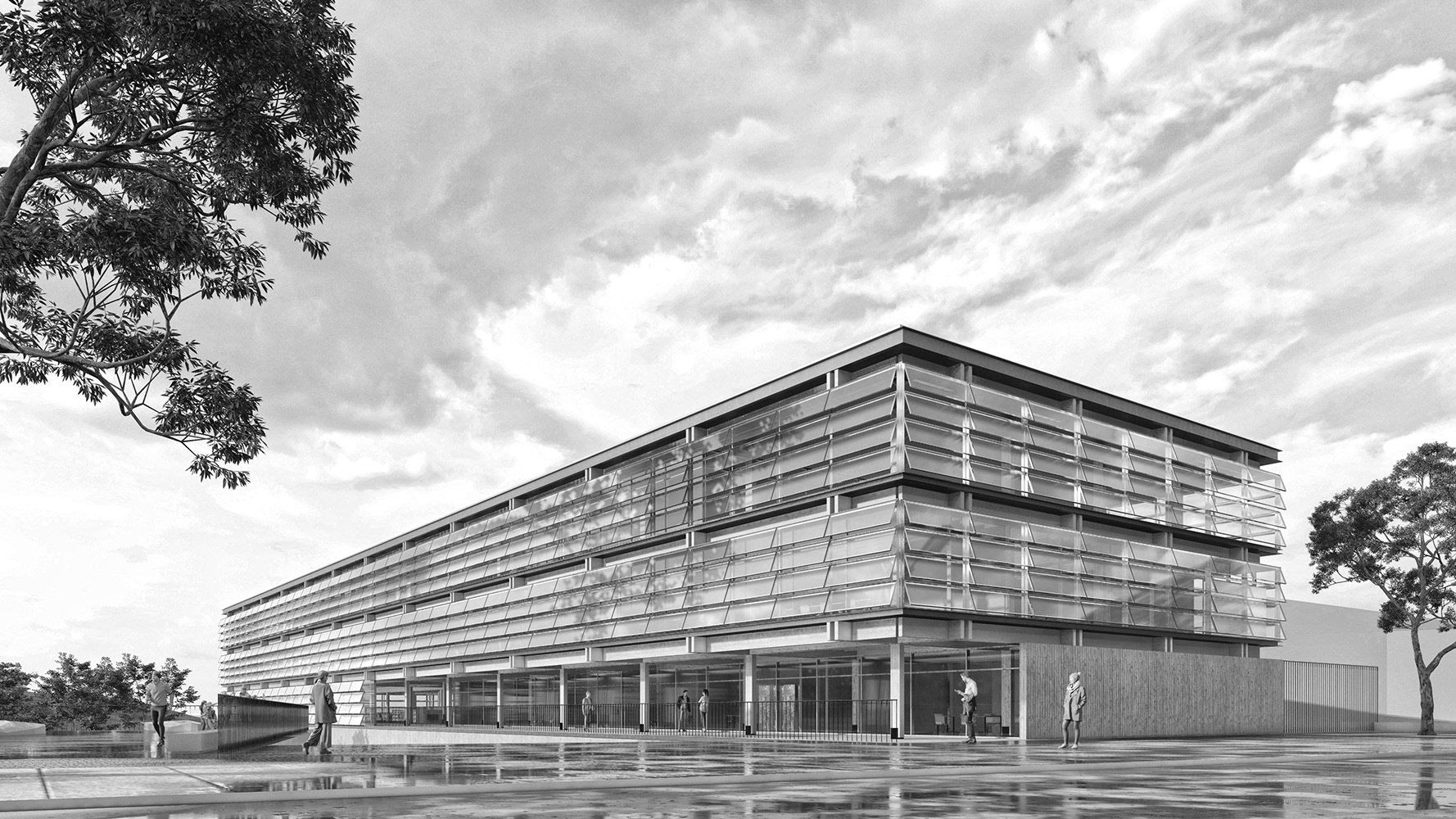 2021 | Concurso Biblioteca Regional Los Ríos | Arq: A. Moletto, S. Paredes