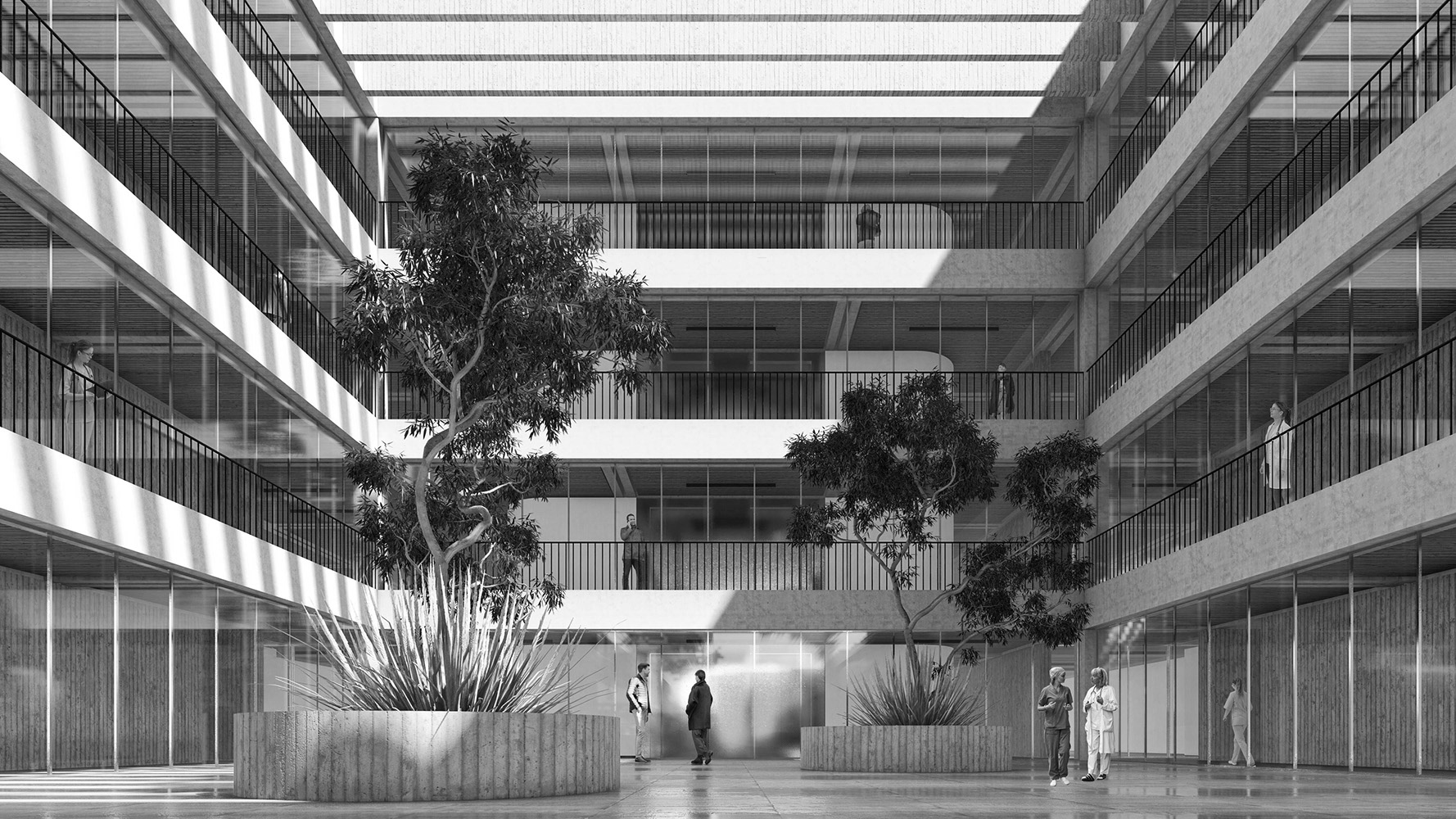 2023 | Licitación Edificio Medicina ULS | Arq: A. Moletto, S. Paredes