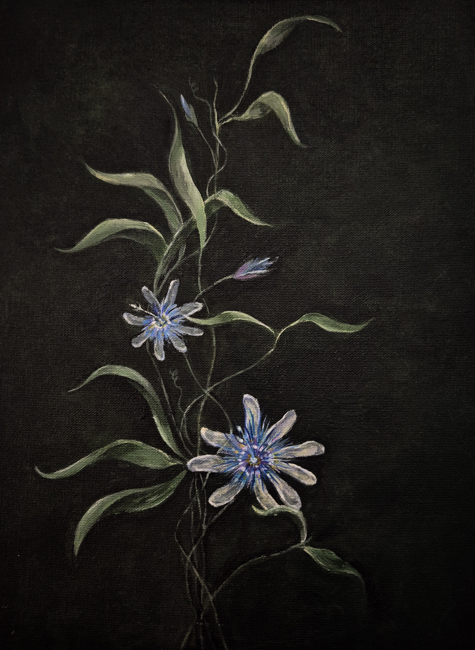 Pintura acrílica de pasionaria azul con composición centrada y formas detalladas.