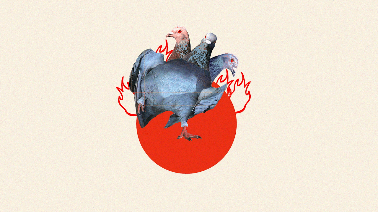 Cer-bird-us Sketch