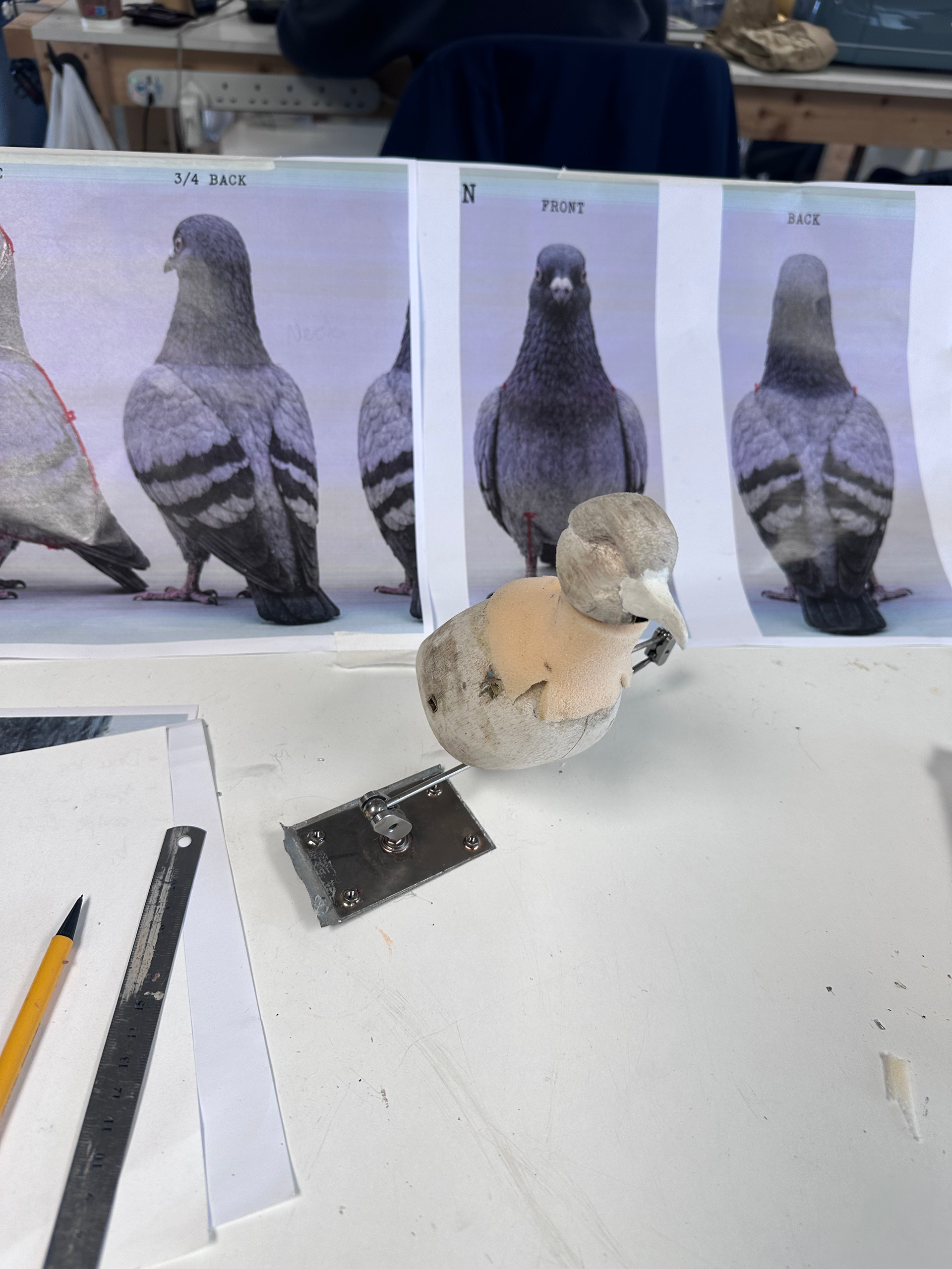 Pigeon Work in Progress