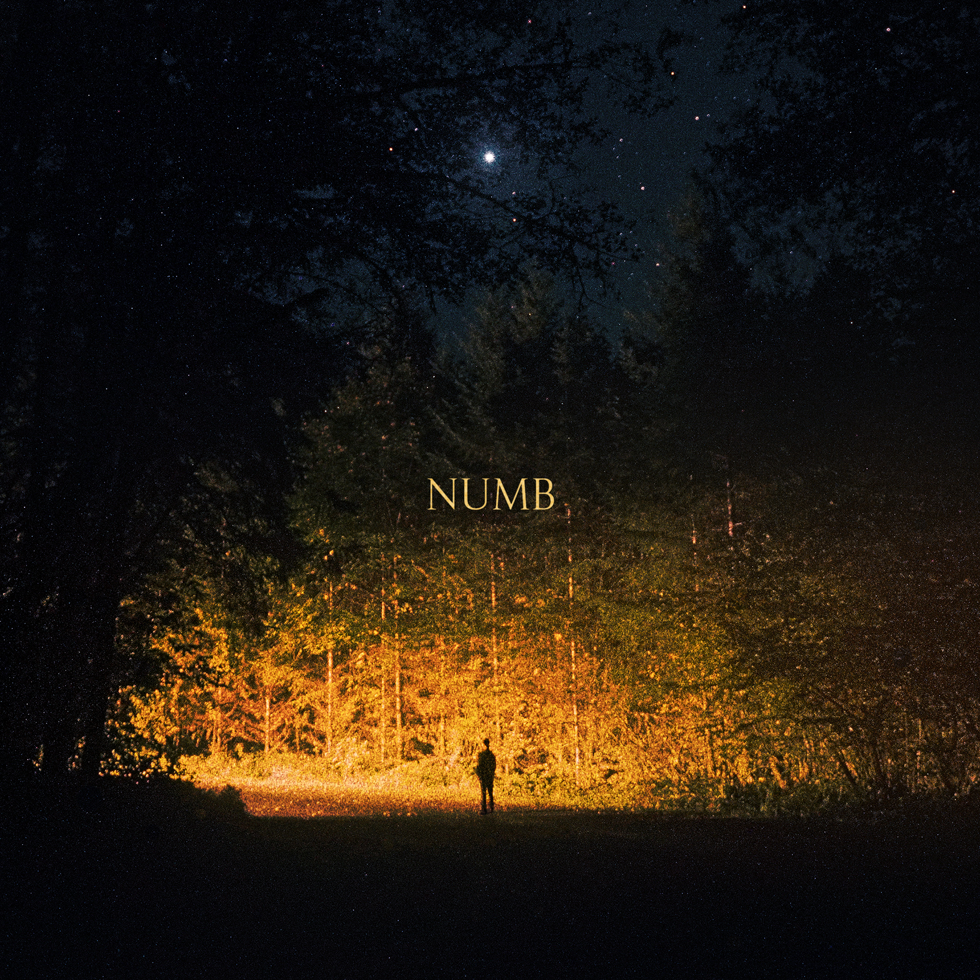 Numb single cover