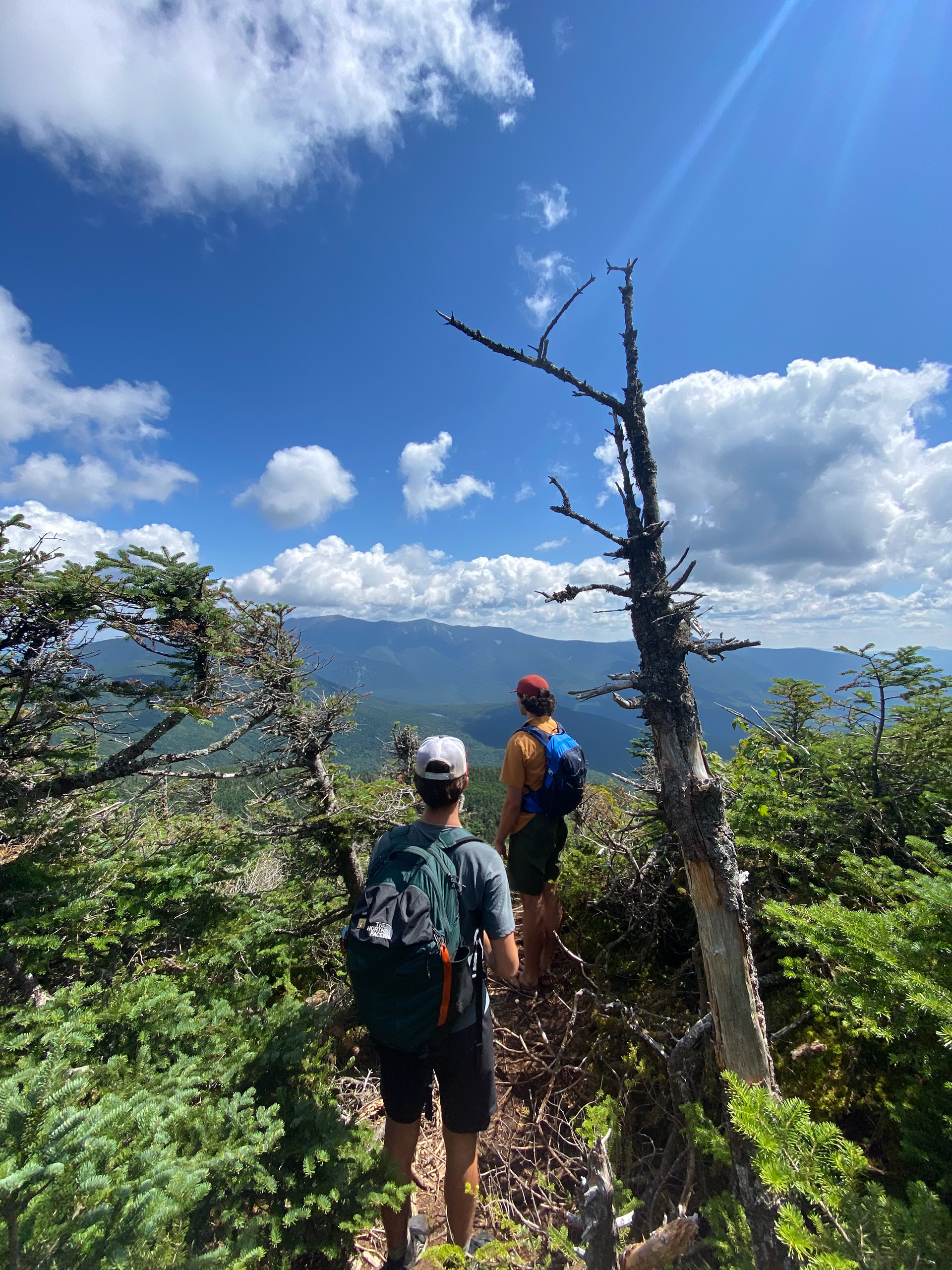 Mt. Kingsman Lookout (Lincoln NH)