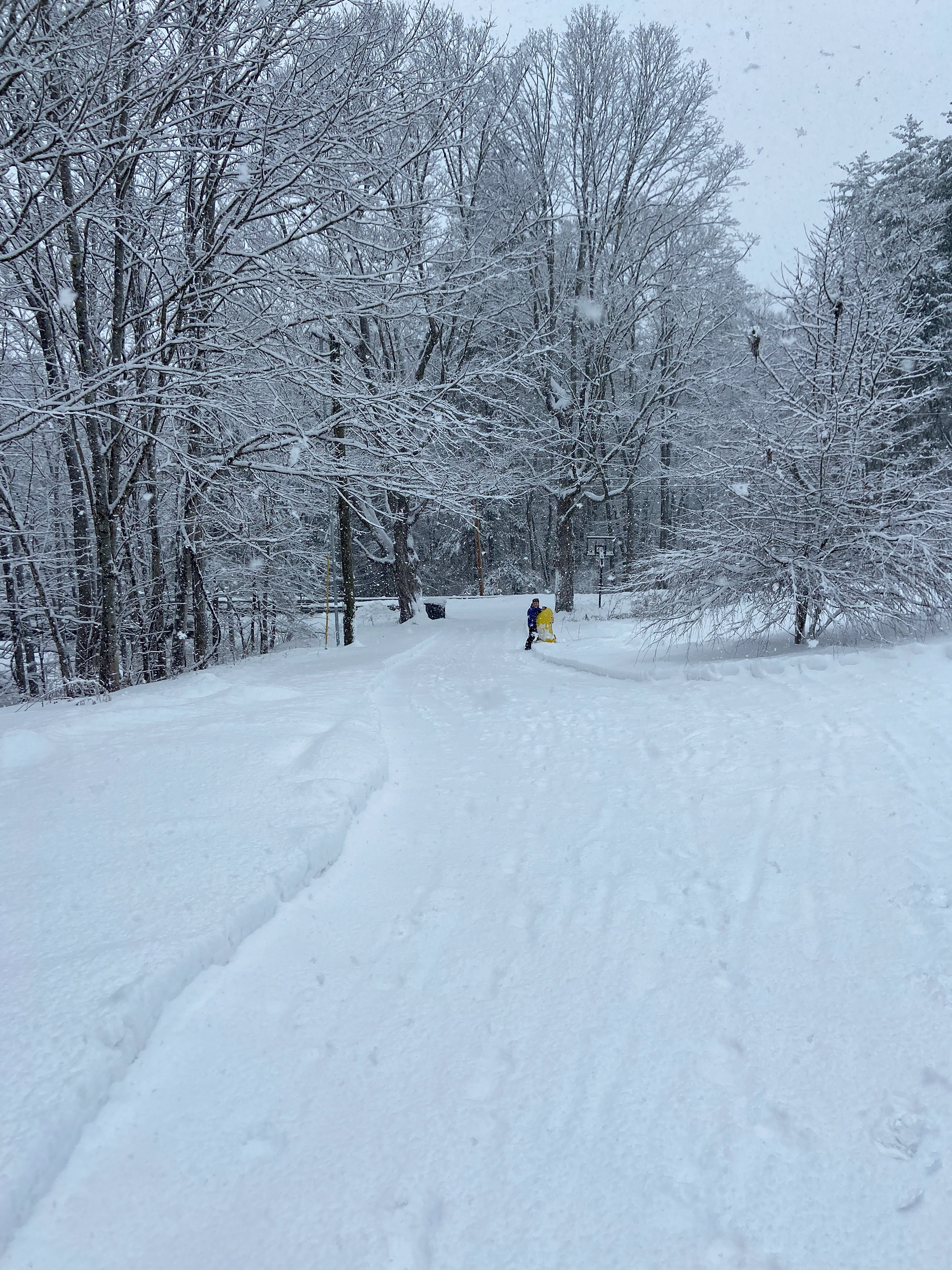 Snow Day (Plainfield NH)