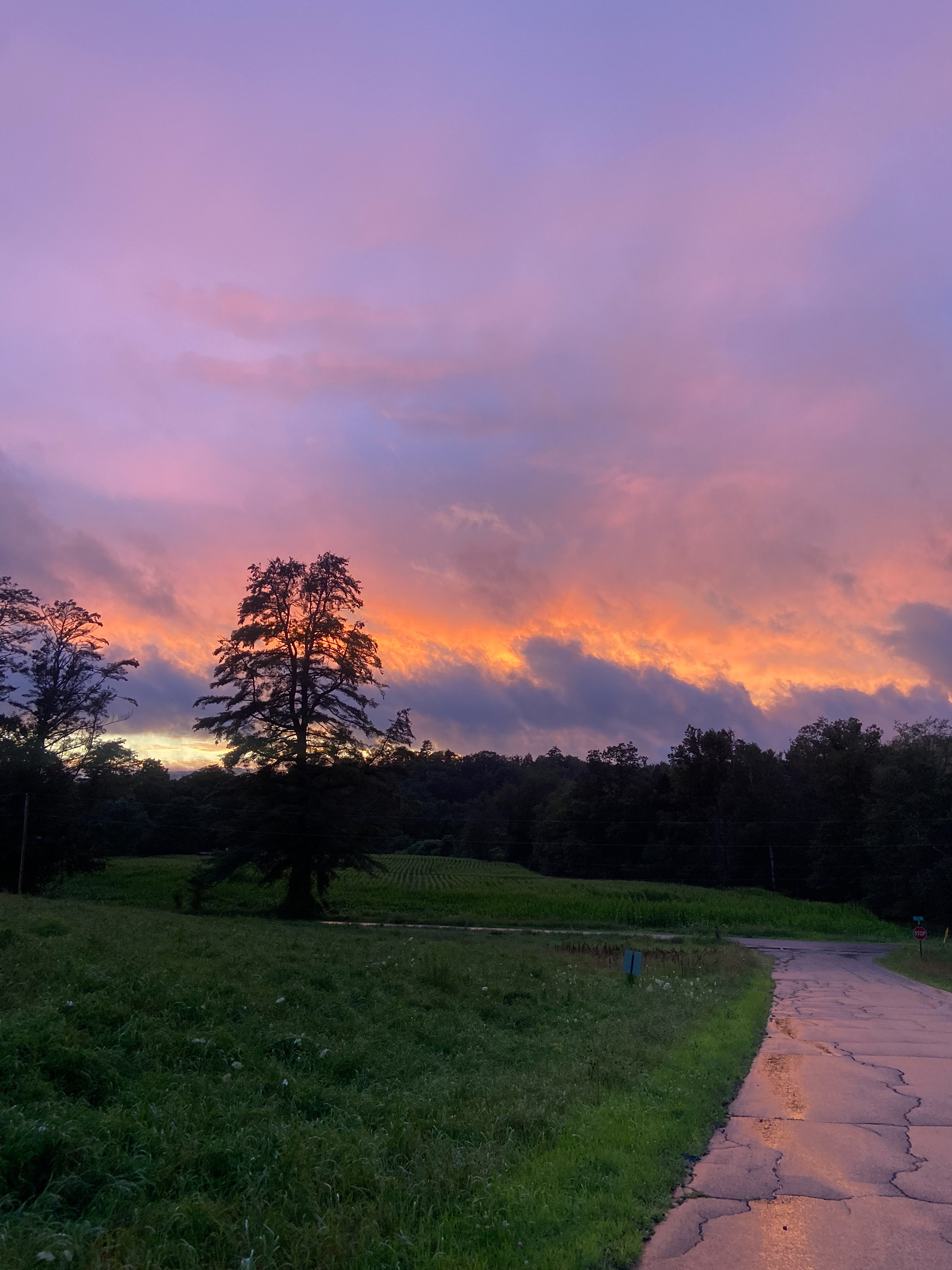 Clouds (Cornish, NH)