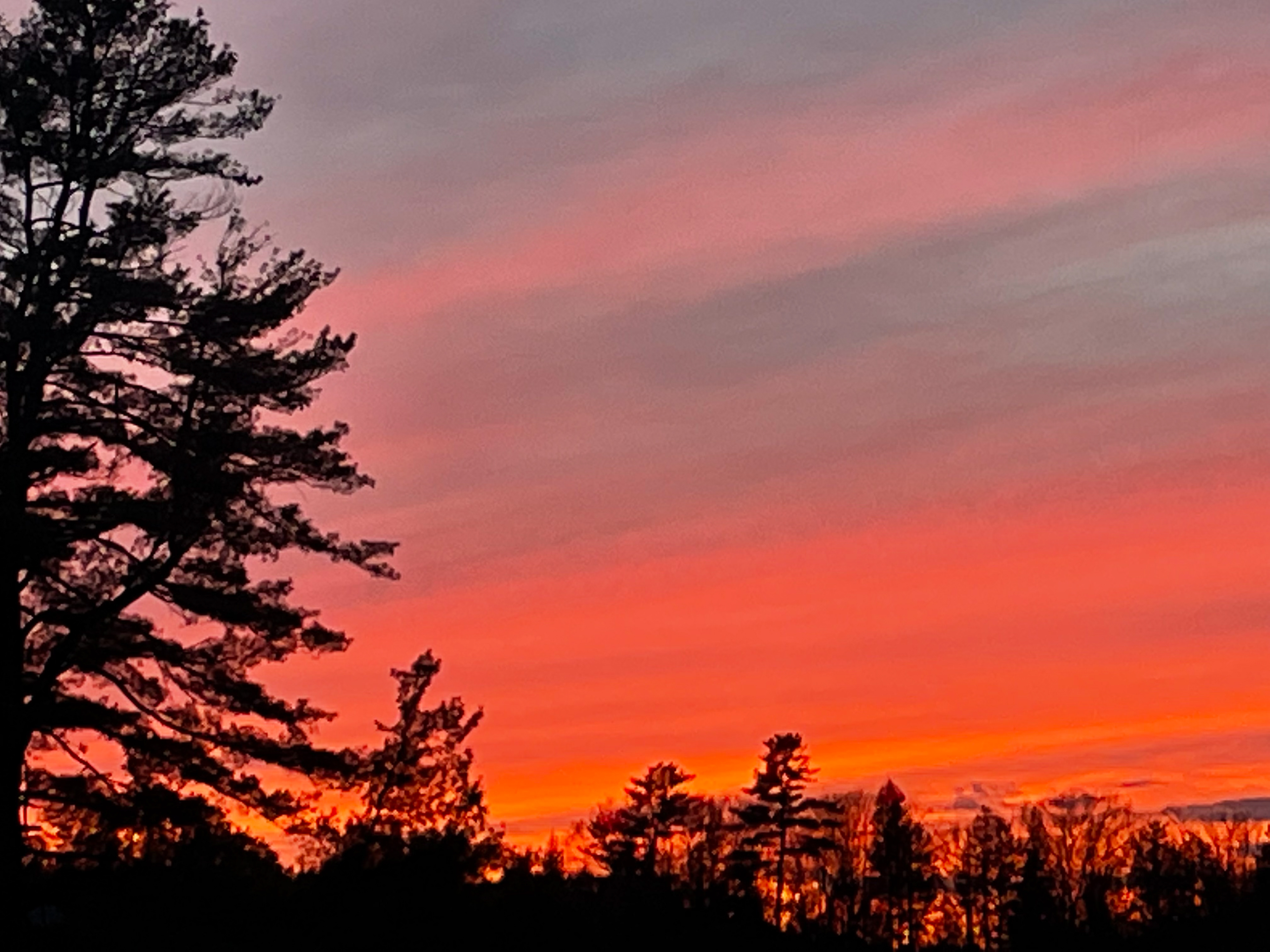 Red Sun (Cornish NH)