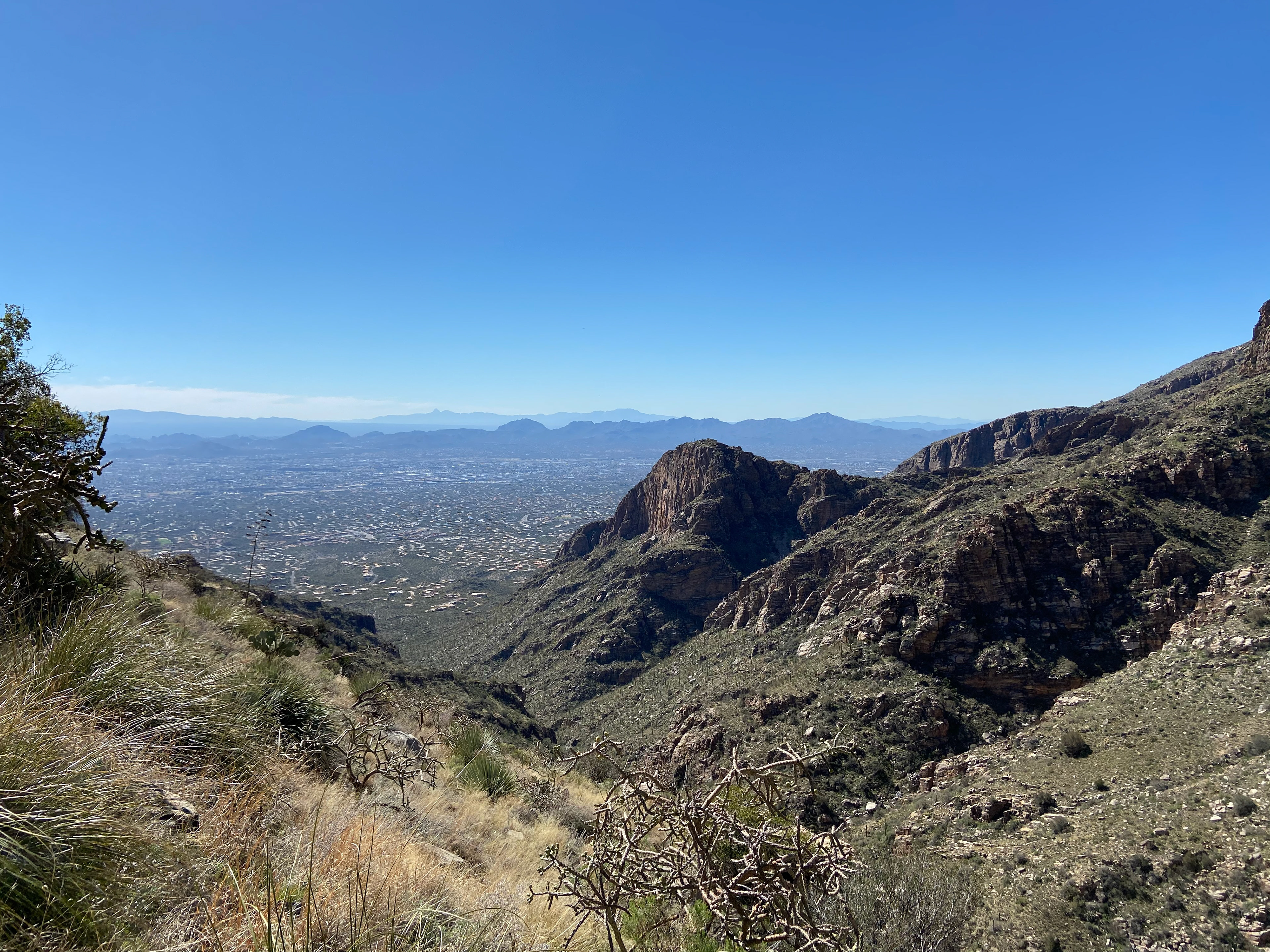 Halfway up Finger Rock (Tuscon, AZ)