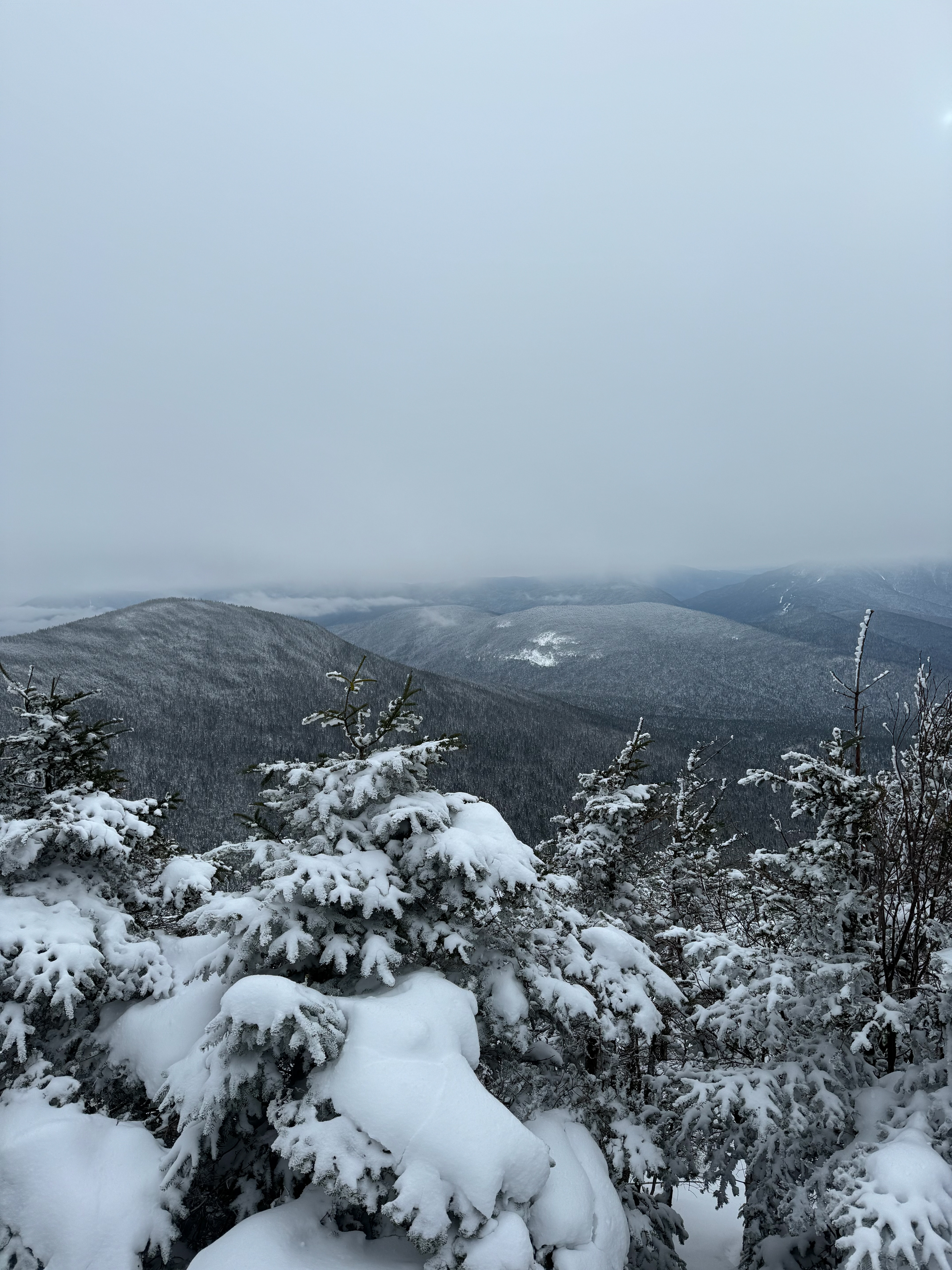 Summit of Mount Hancock (Pemigawassett Wilderness, NH)