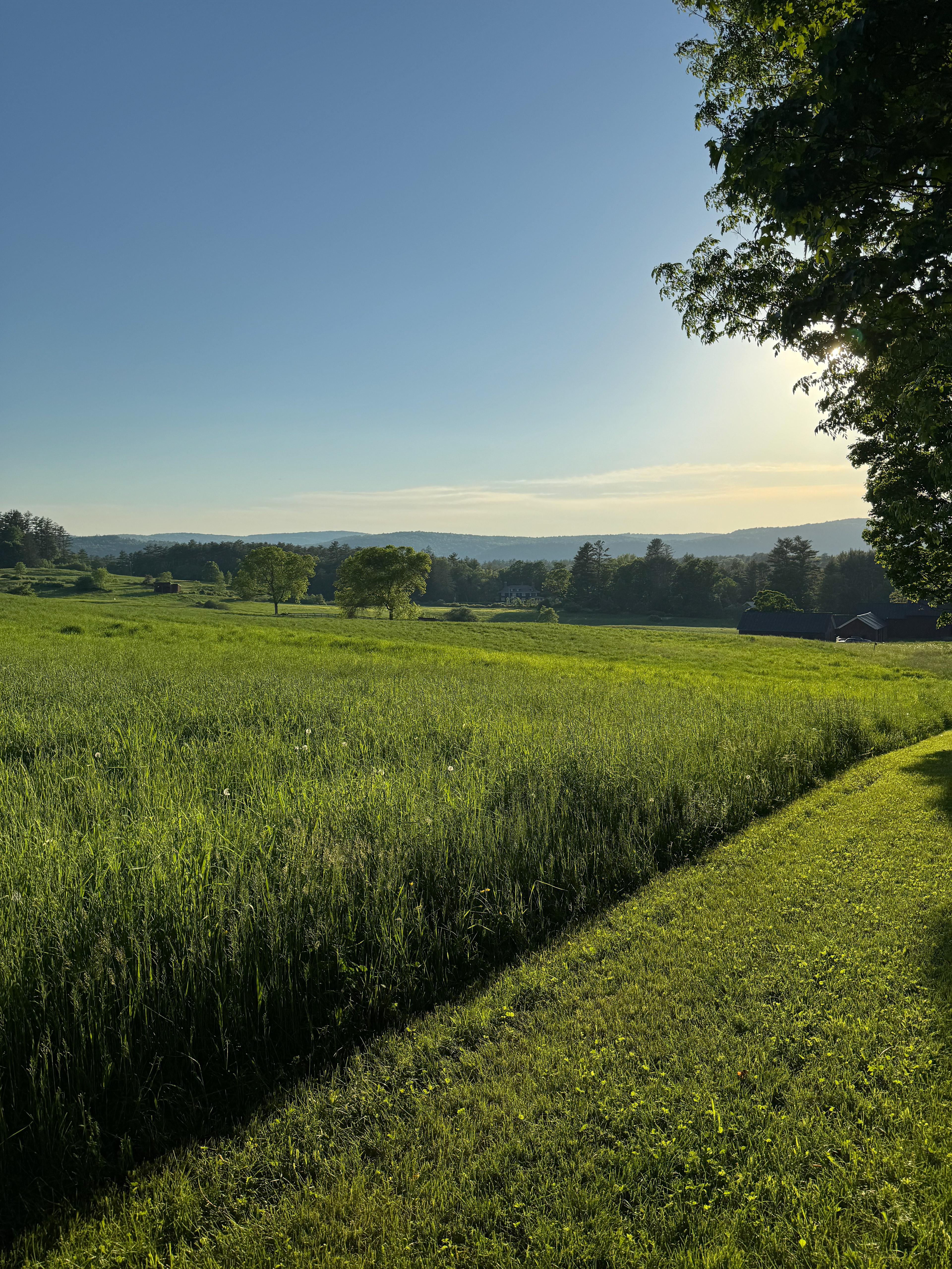 Burling Fields (Cornish, NH)