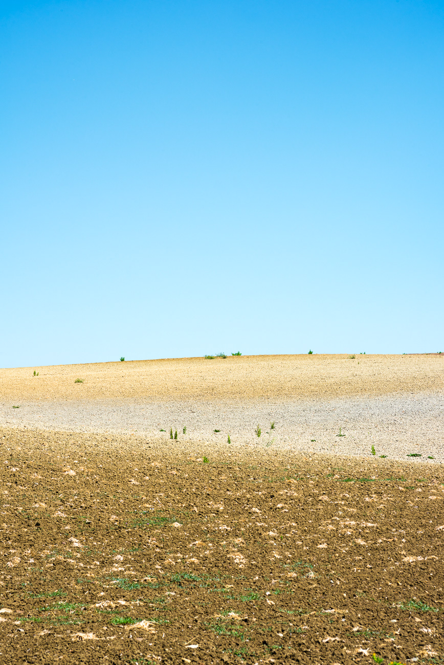 La duna tra i campi (Strada della Sgrilla - Capalbio)