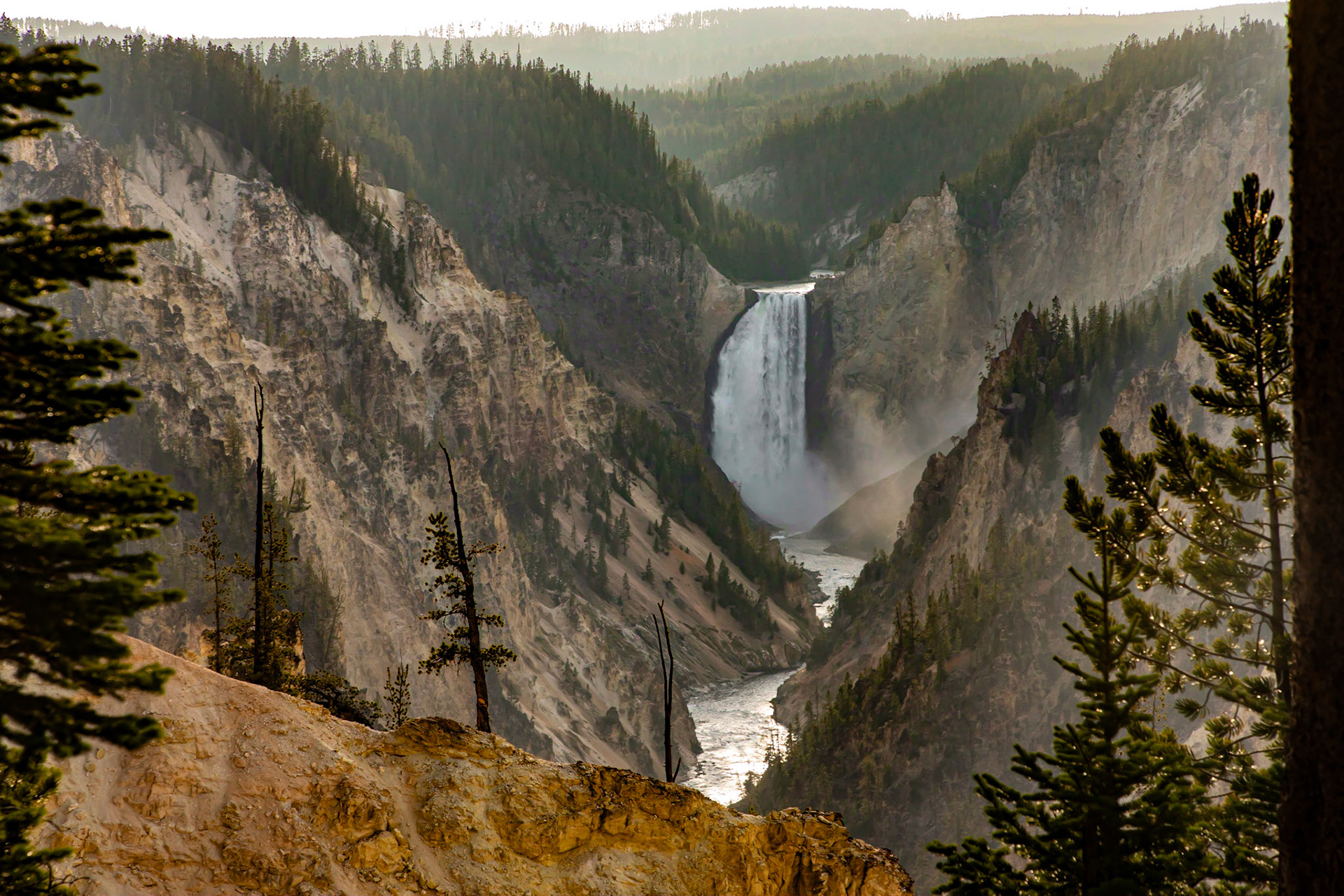 Yellowstone National Park- 2020