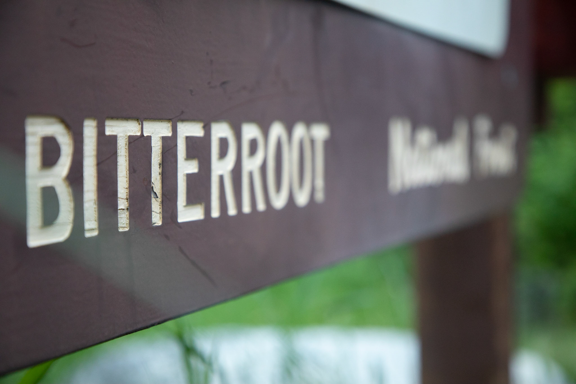 Bitterroot National Forest - 2017