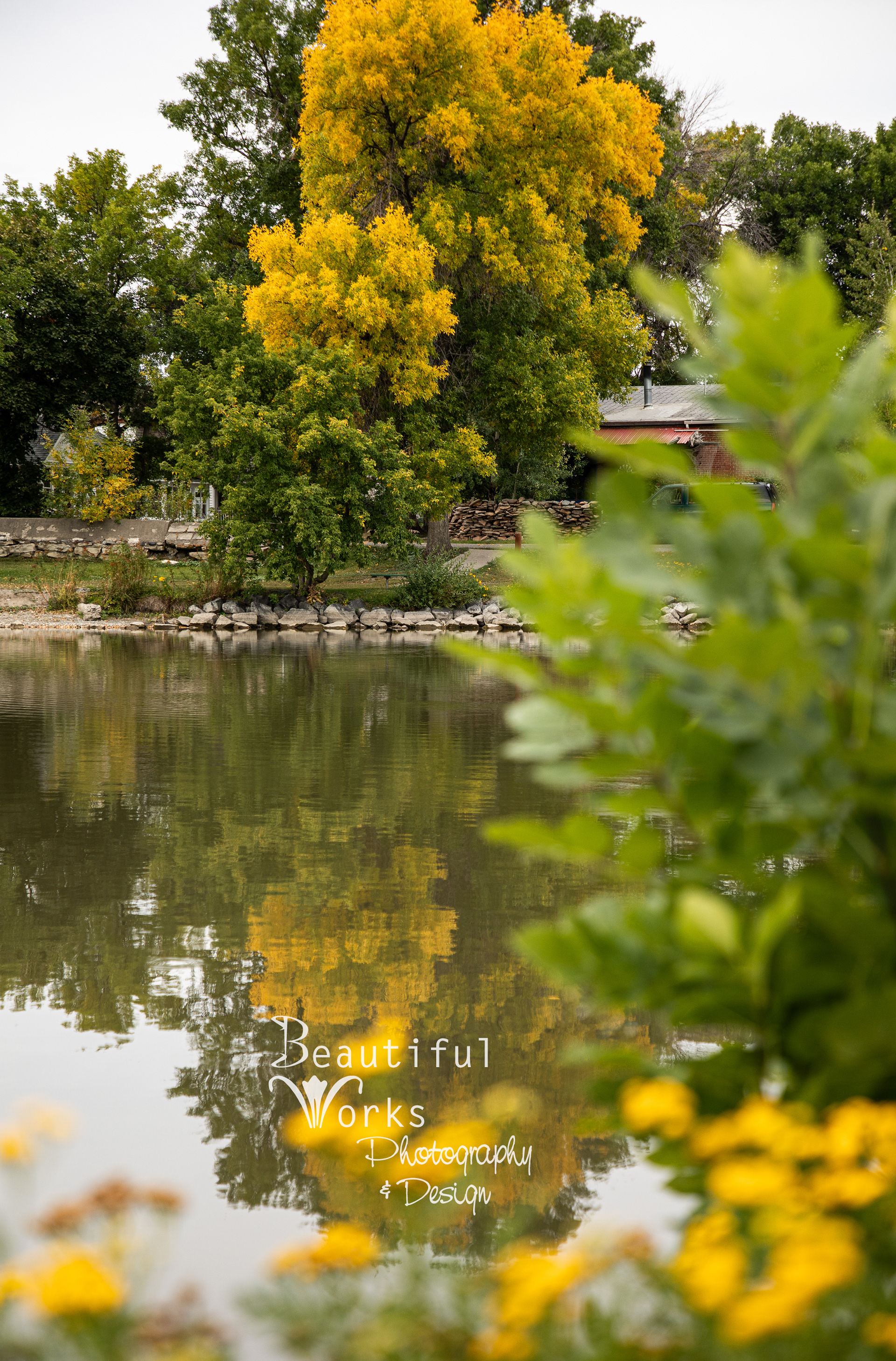 Sacajawea Park Lagoon, LivMT 2023