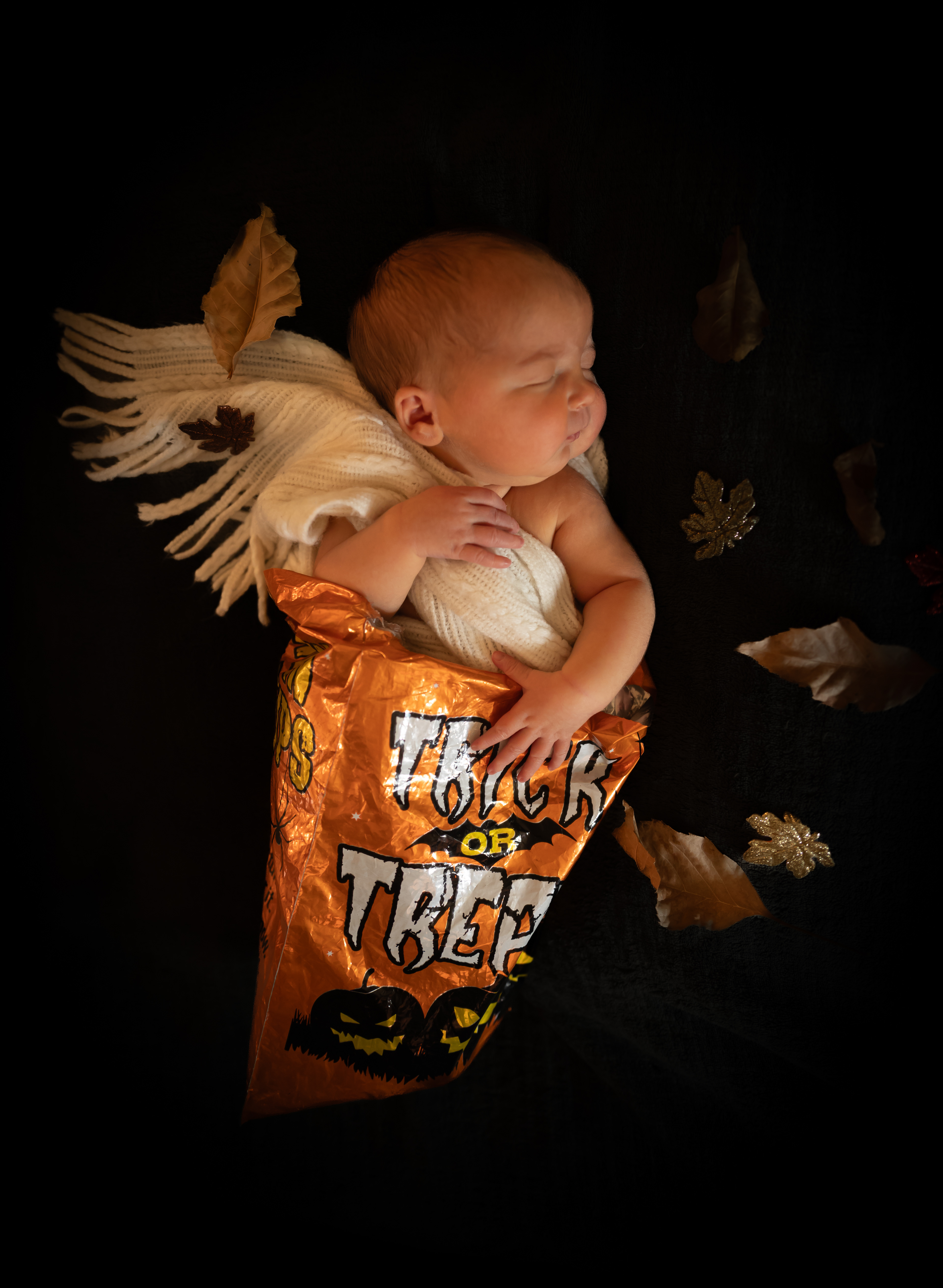Newborn portraits - October 2023