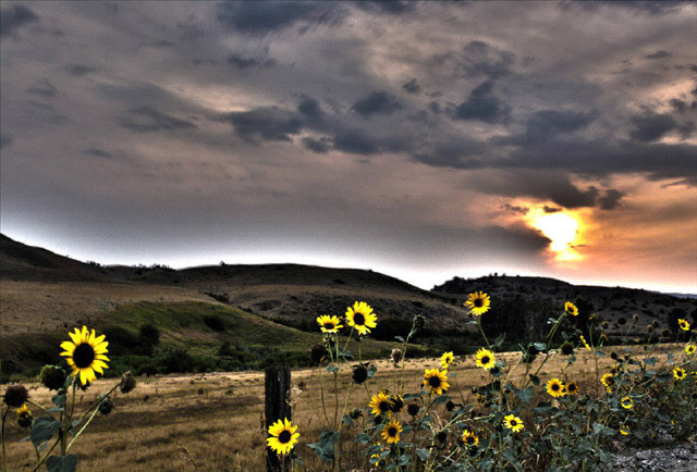 Livingston Montana 2012