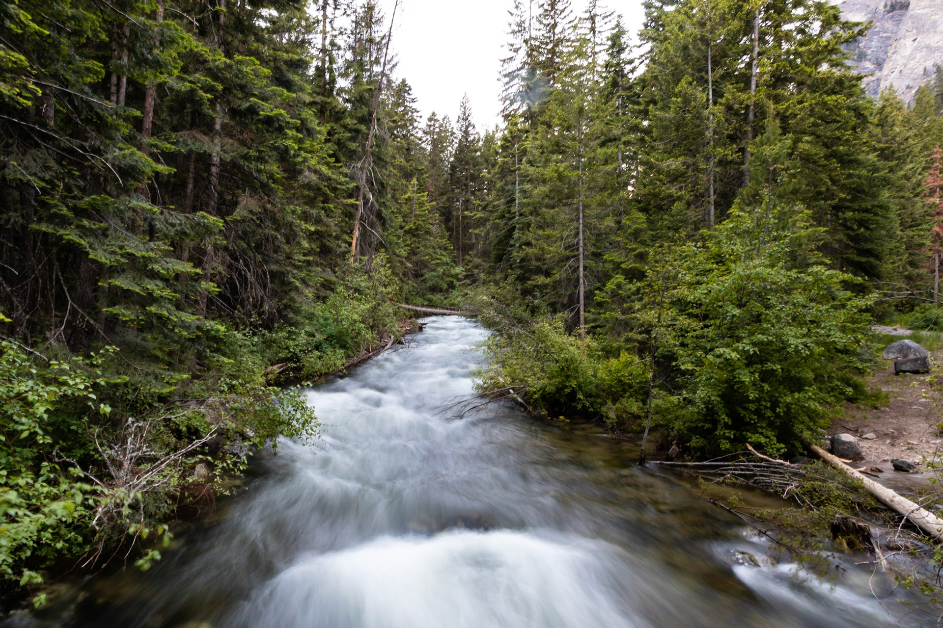 Blodgett Creek Montana - 2018