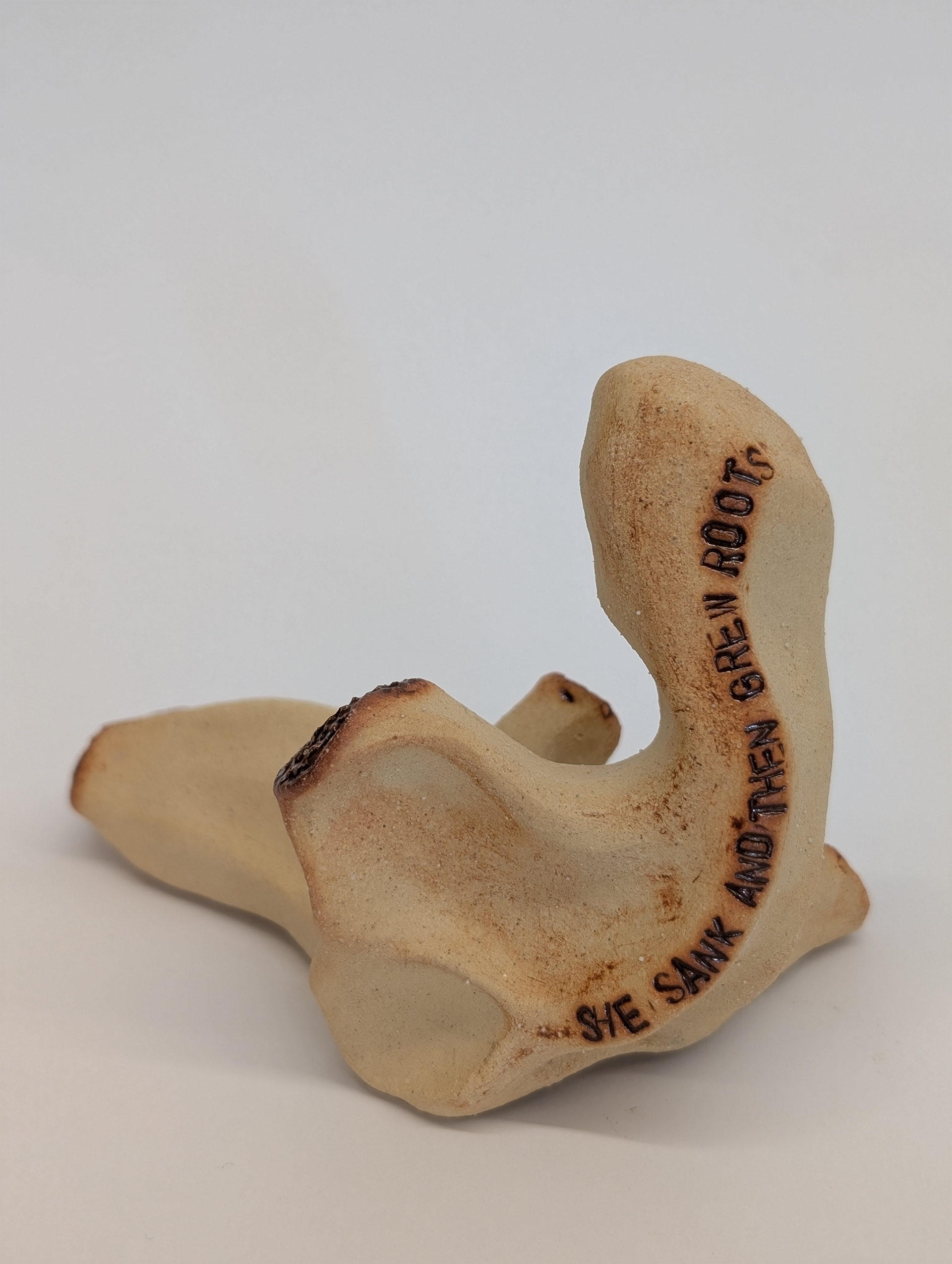 She Sank and Then Grew Roots