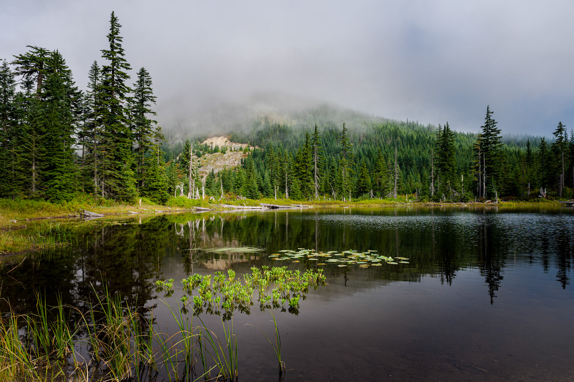 Taken from the top of Snoqualmie pass in the Washington cascade mountiains on a cool fall morning with clouds gently rolling through.