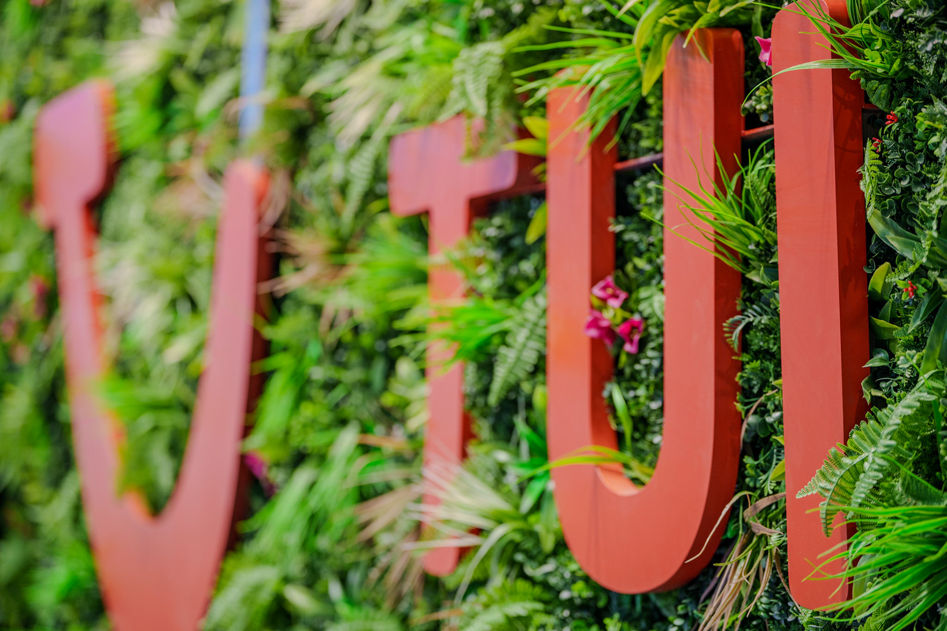 TUI
