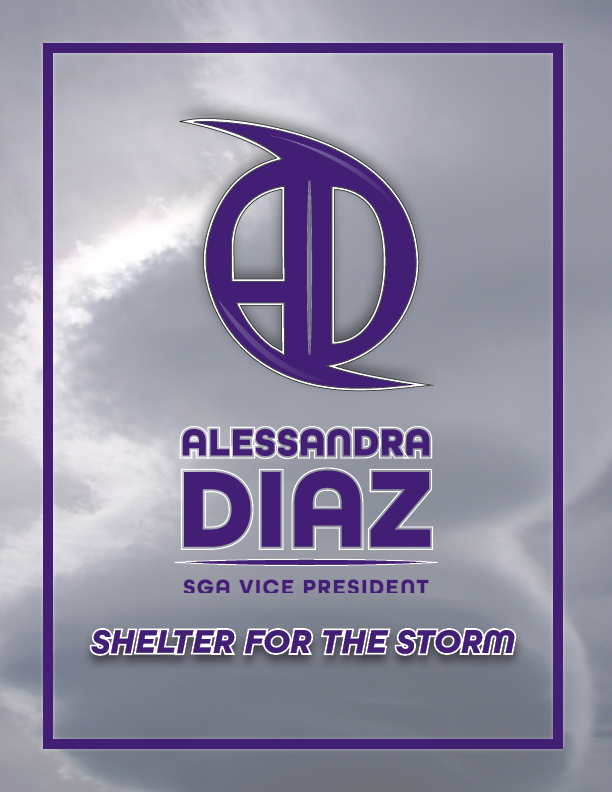 Letter sized campaign flyer for smaller spaces and handouts. Created using Adobe Illustrator and InDesign.