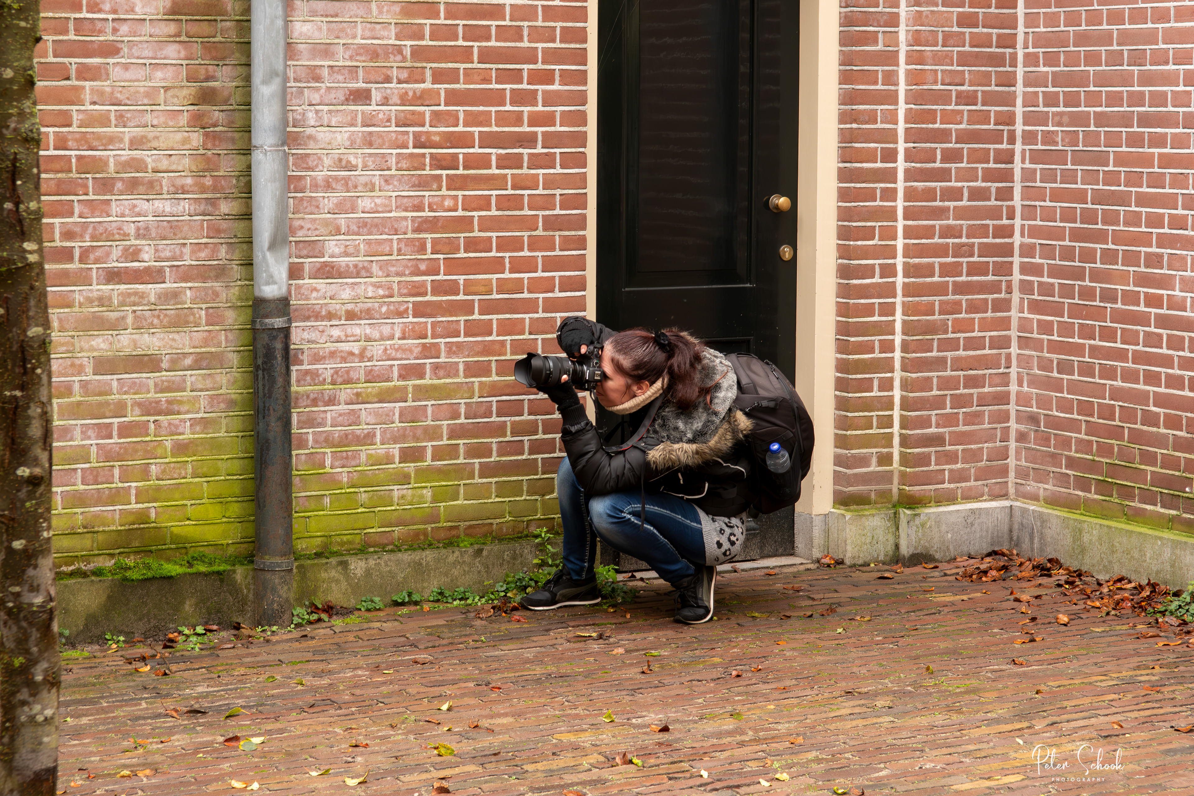 Paparatzi
