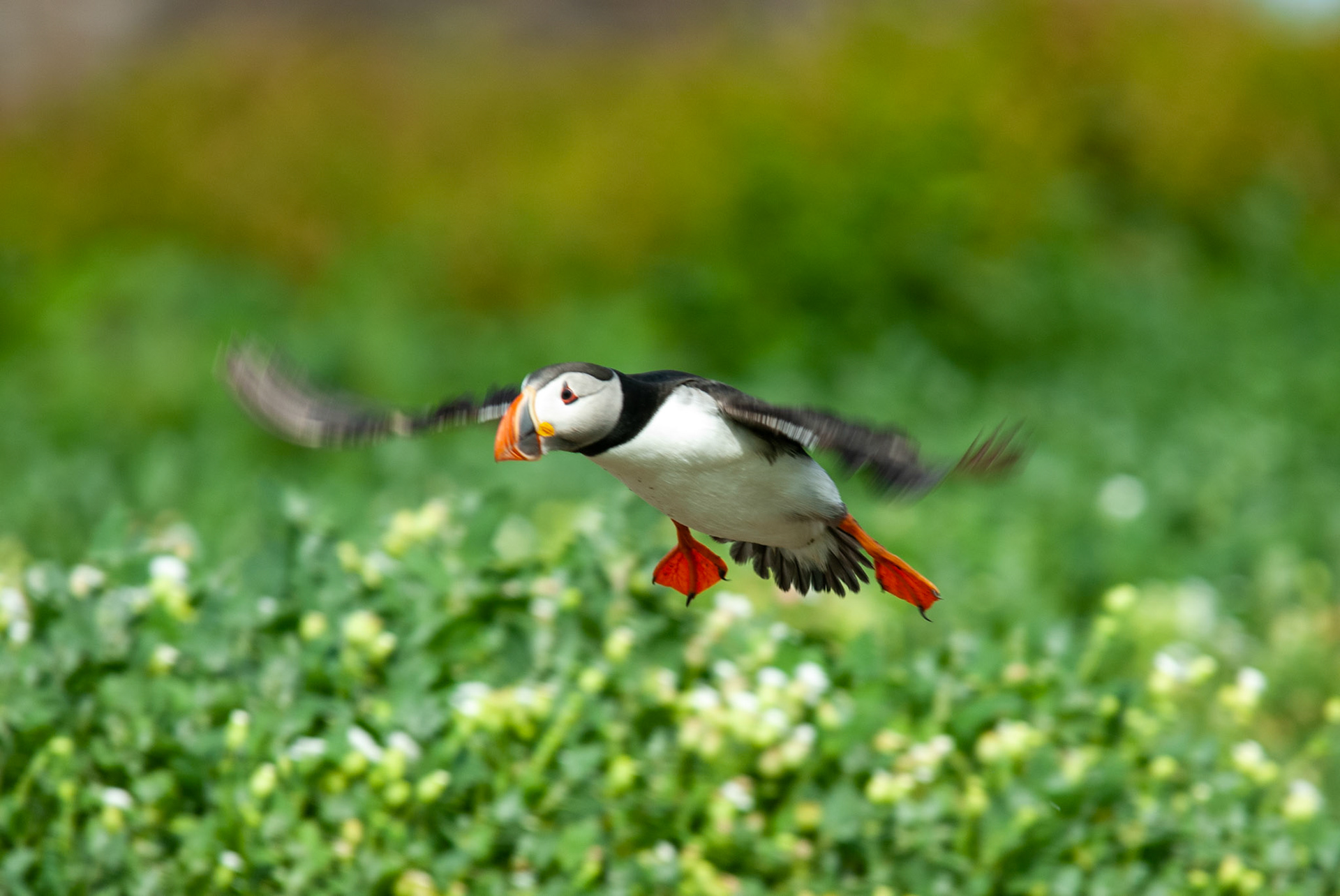 Landing