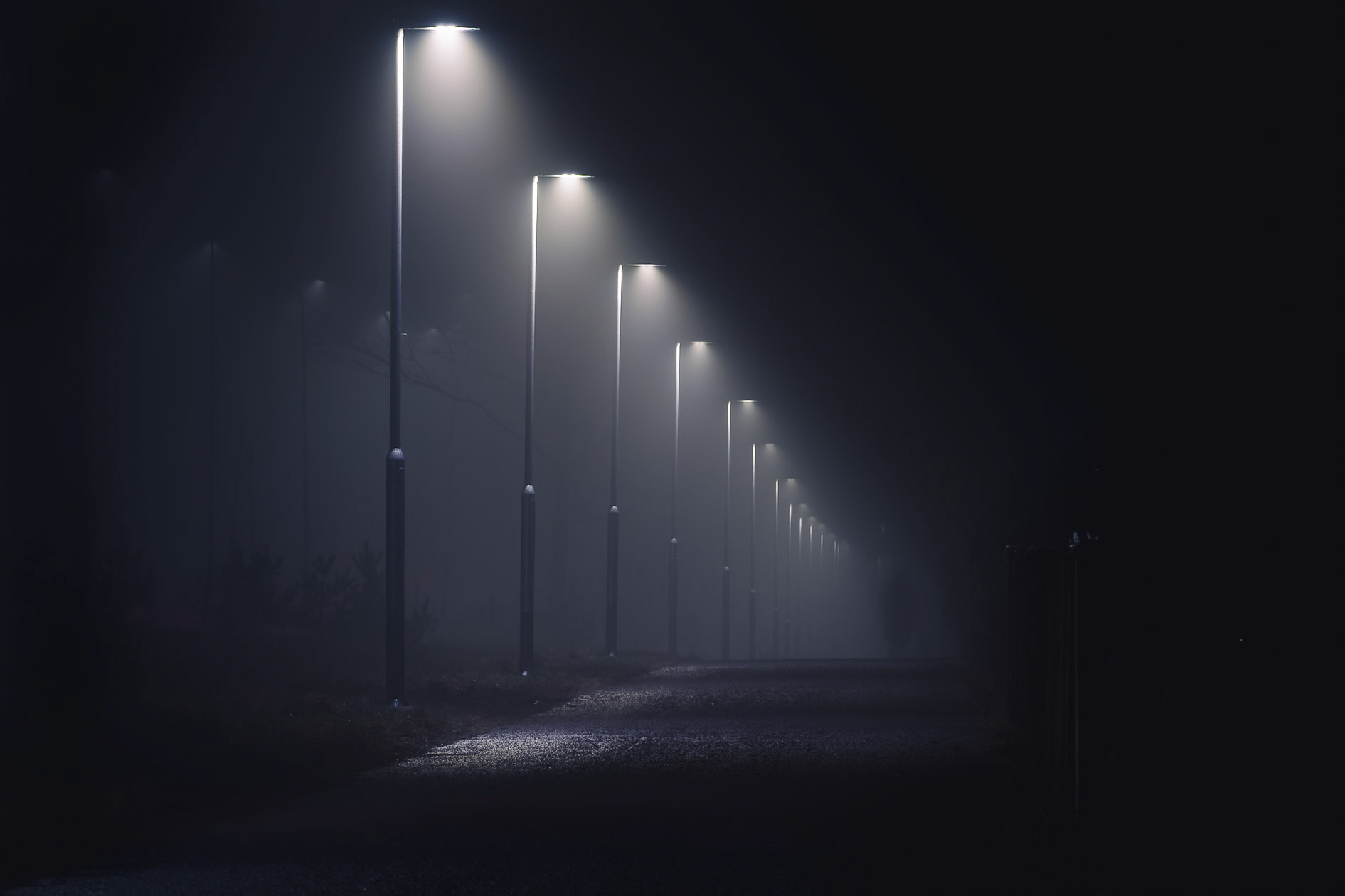 Foggy Evening Lights