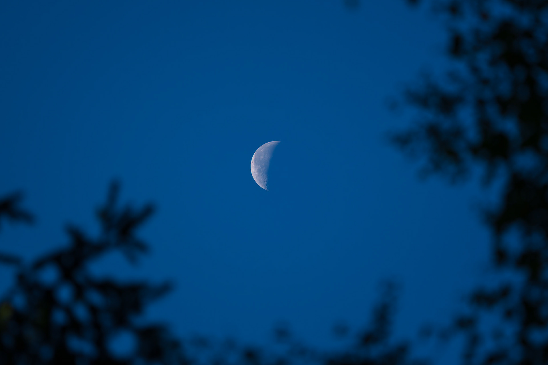 Half Moon Before Noon